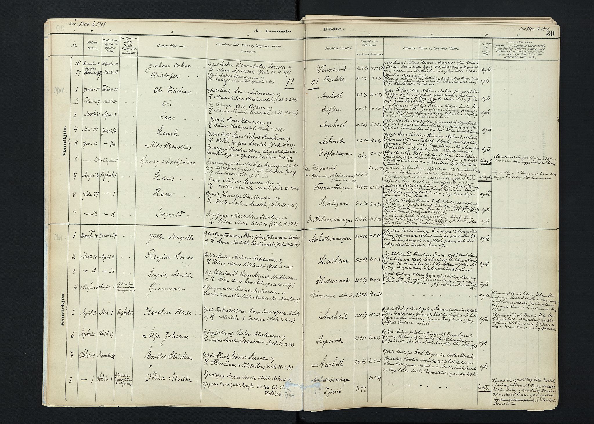 Stokke kirkebøker, SAKO/A-320/F/Fc/L0001: Parish register (official) no. III 1, 1884-1910, p. 30