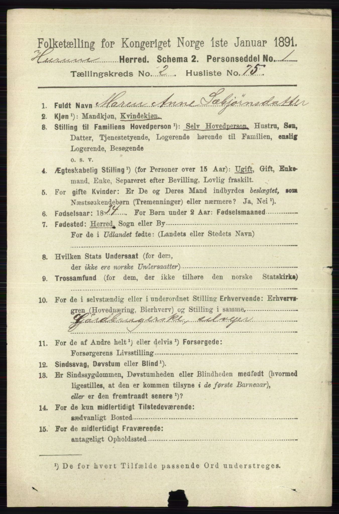 RA, 1891 census for 0628 Hurum, 1891, p. 915