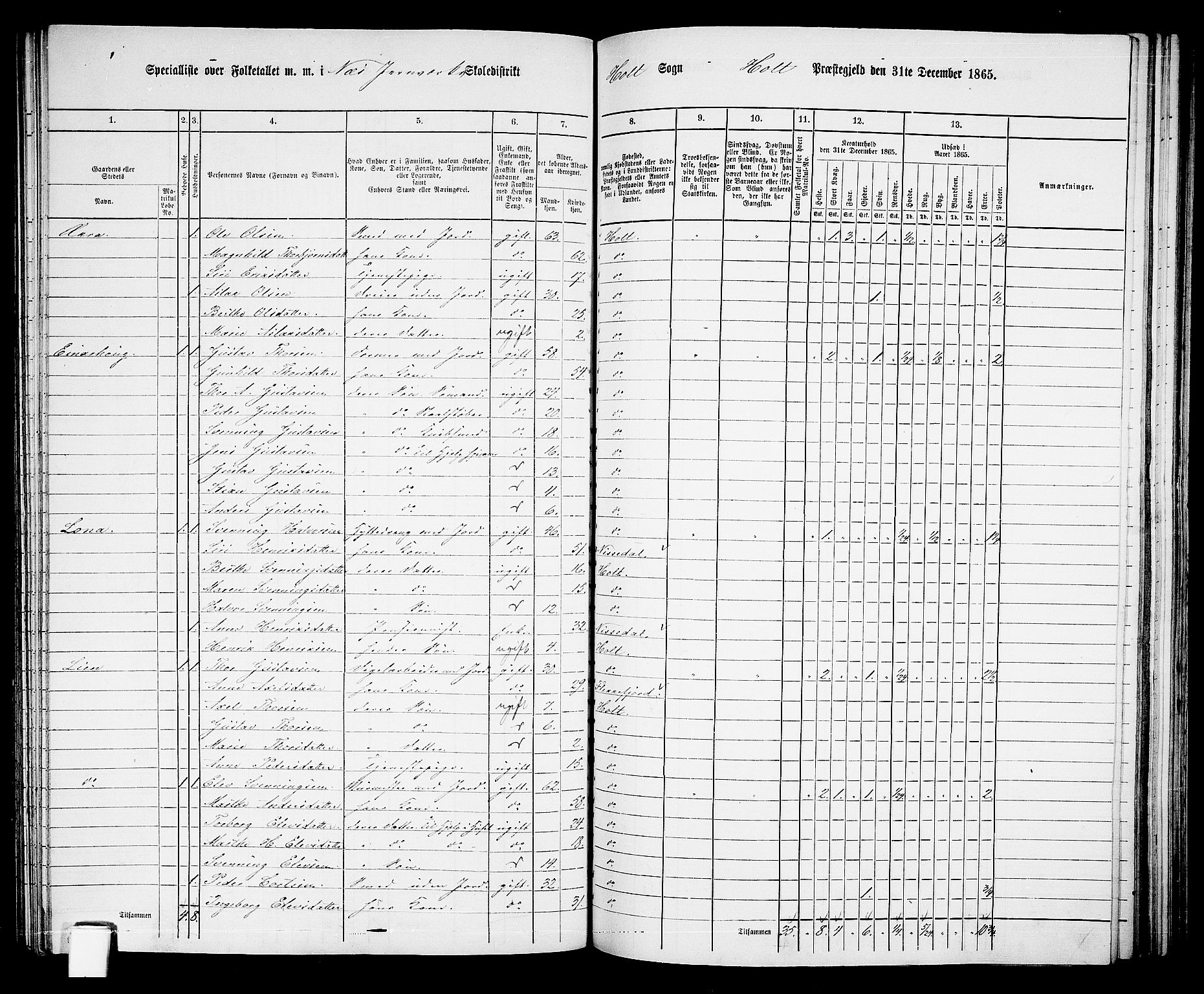 RA, 1865 census for Holt/Holt, 1865, p. 115
