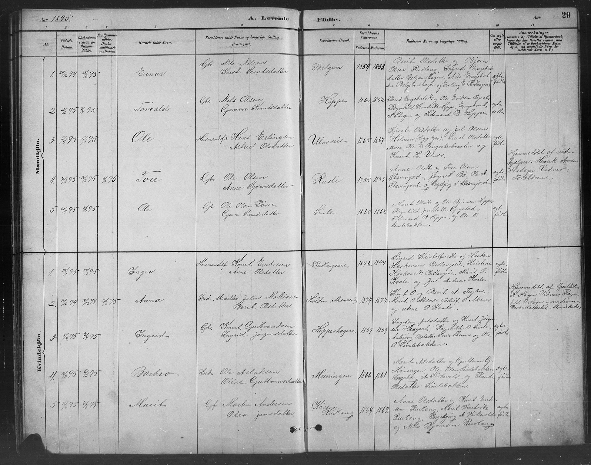 Nord-Aurdal prestekontor, SAH/PREST-132/H/Ha/Hab/L0008: Parish register (copy) no. 8, 1883-1916, p. 29