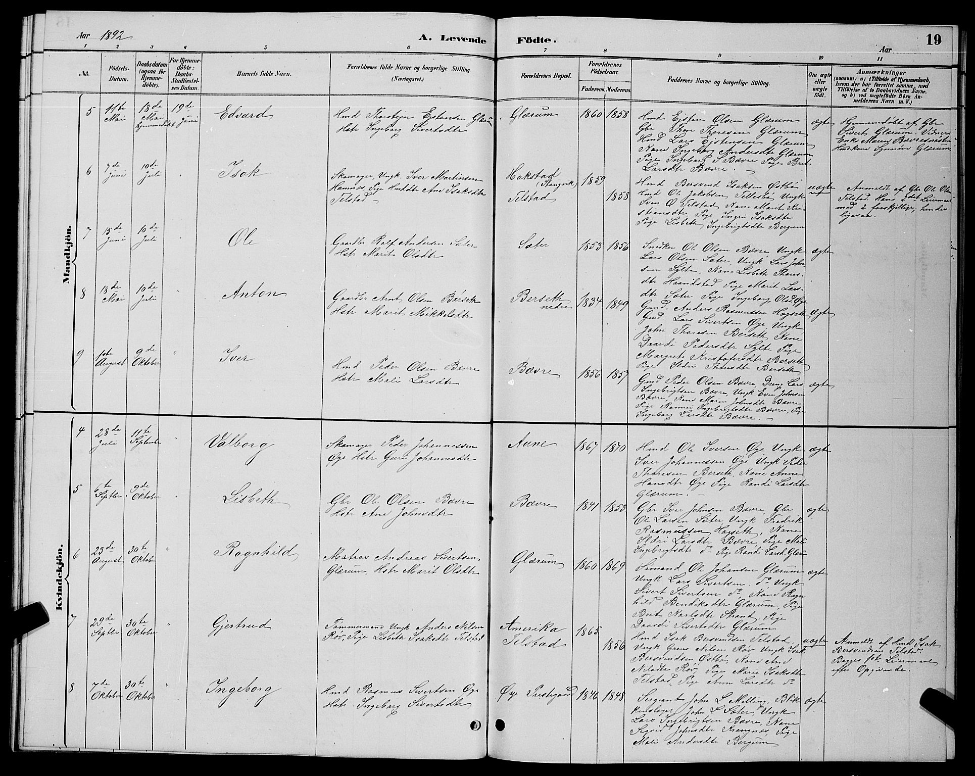 Ministerialprotokoller, klokkerbøker og fødselsregistre - Møre og Romsdal, AV/SAT-A-1454/595/L1052: Parish register (copy) no. 595C04, 1885-1900, p. 19