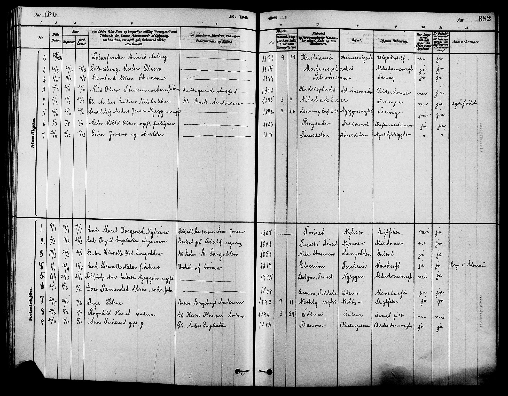 Alvdal prestekontor, SAH/PREST-060/H/Ha/Hab/L0003: Parish register (copy) no. 3, 1878-1907, p. 382