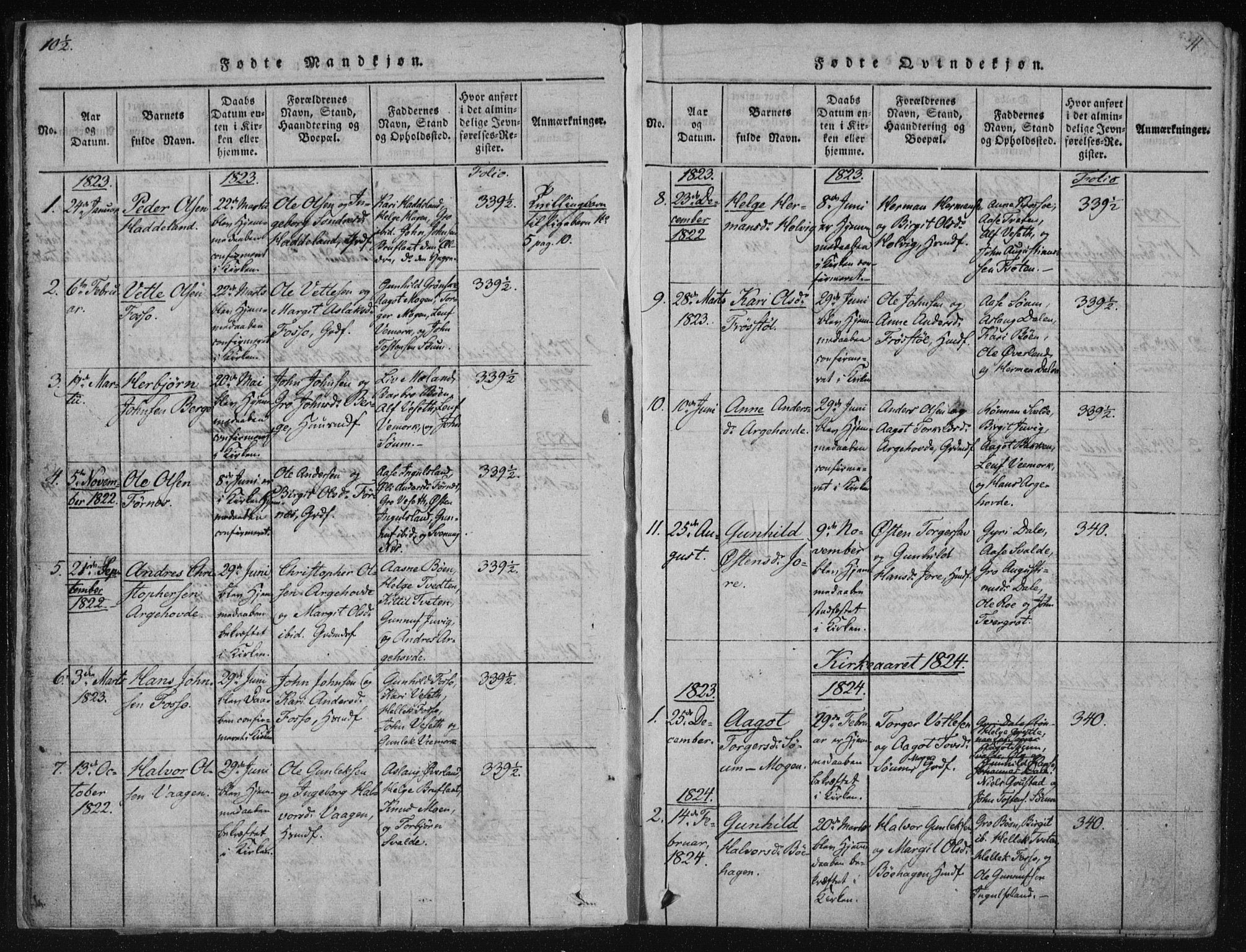 Tinn kirkebøker, SAKO/A-308/F/Fc/L0001: Parish register (official) no. III 1, 1815-1843, p. 11