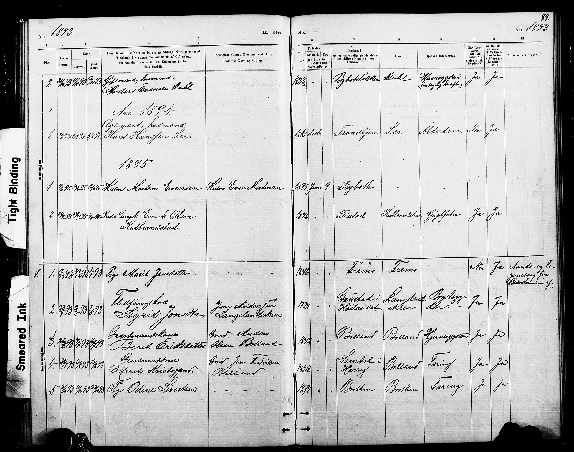 Ministerialprotokoller, klokkerbøker og fødselsregistre - Sør-Trøndelag, SAT/A-1456/693/L1123: Parish register (copy) no. 693C04, 1887-1910, p. 89