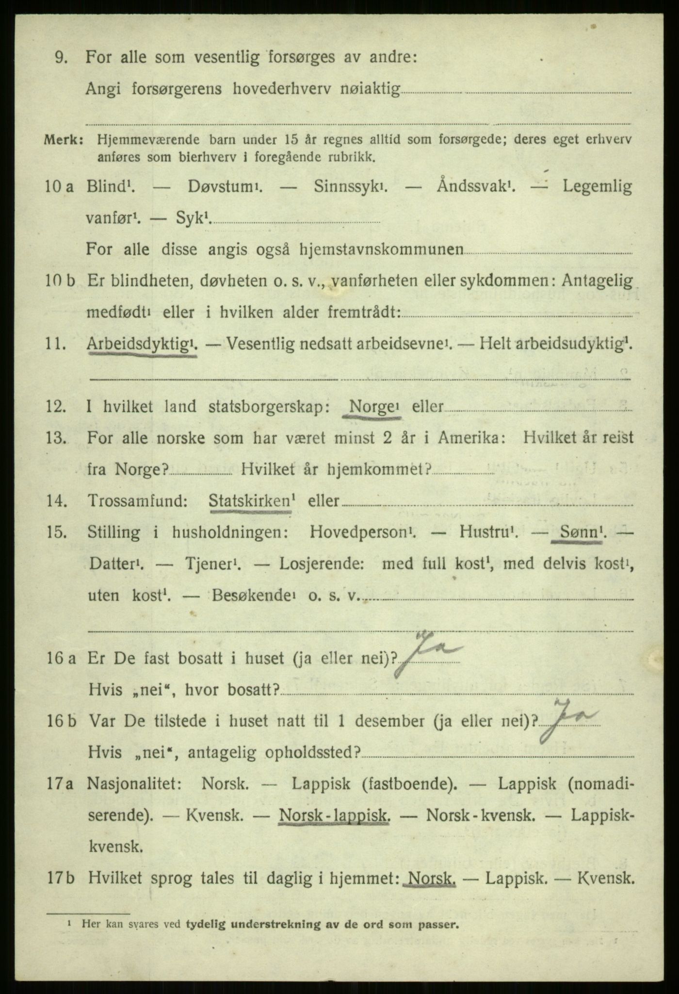 SATØ, 1920 census for Ibestad, 1920, p. 4970