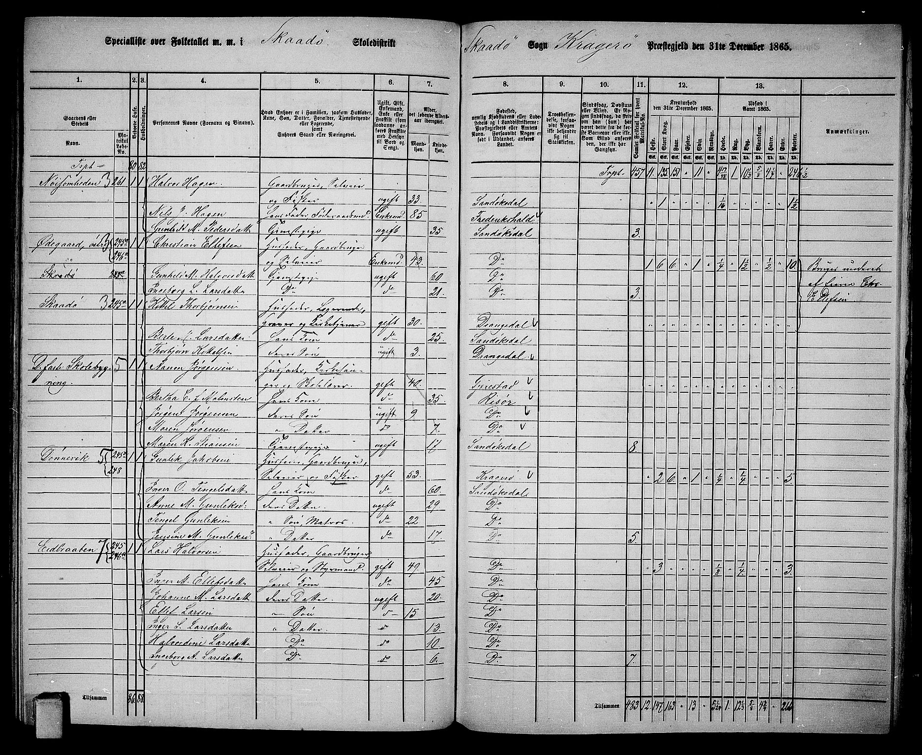 RA, 1865 census for Kragerø/Sannidal og Skåtøy, 1865, p. 195