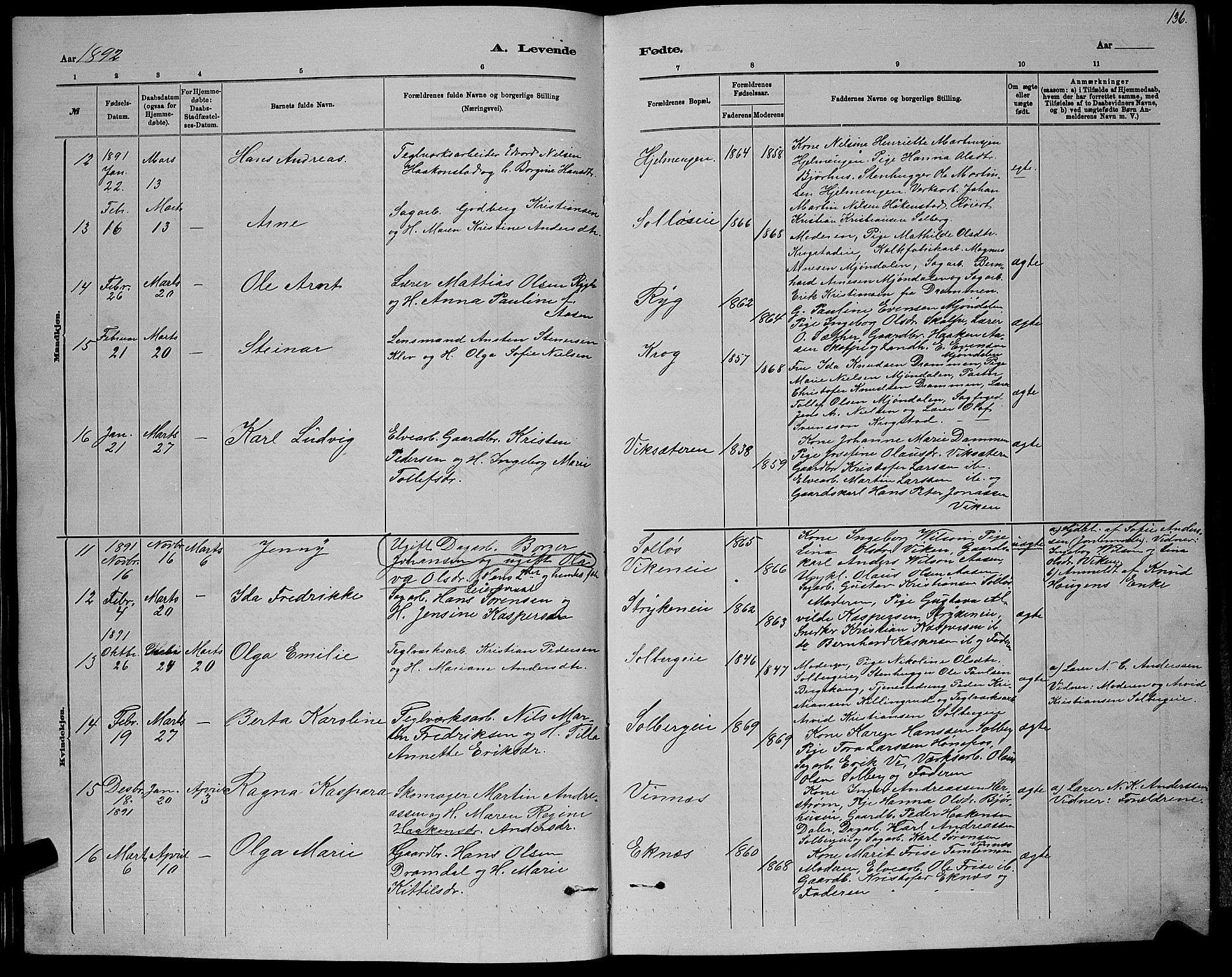 Nedre Eiker kirkebøker, AV/SAKO-A-612/G/Ga/L0002: Parish register (copy) no. 2, 1880-1896, p. 136