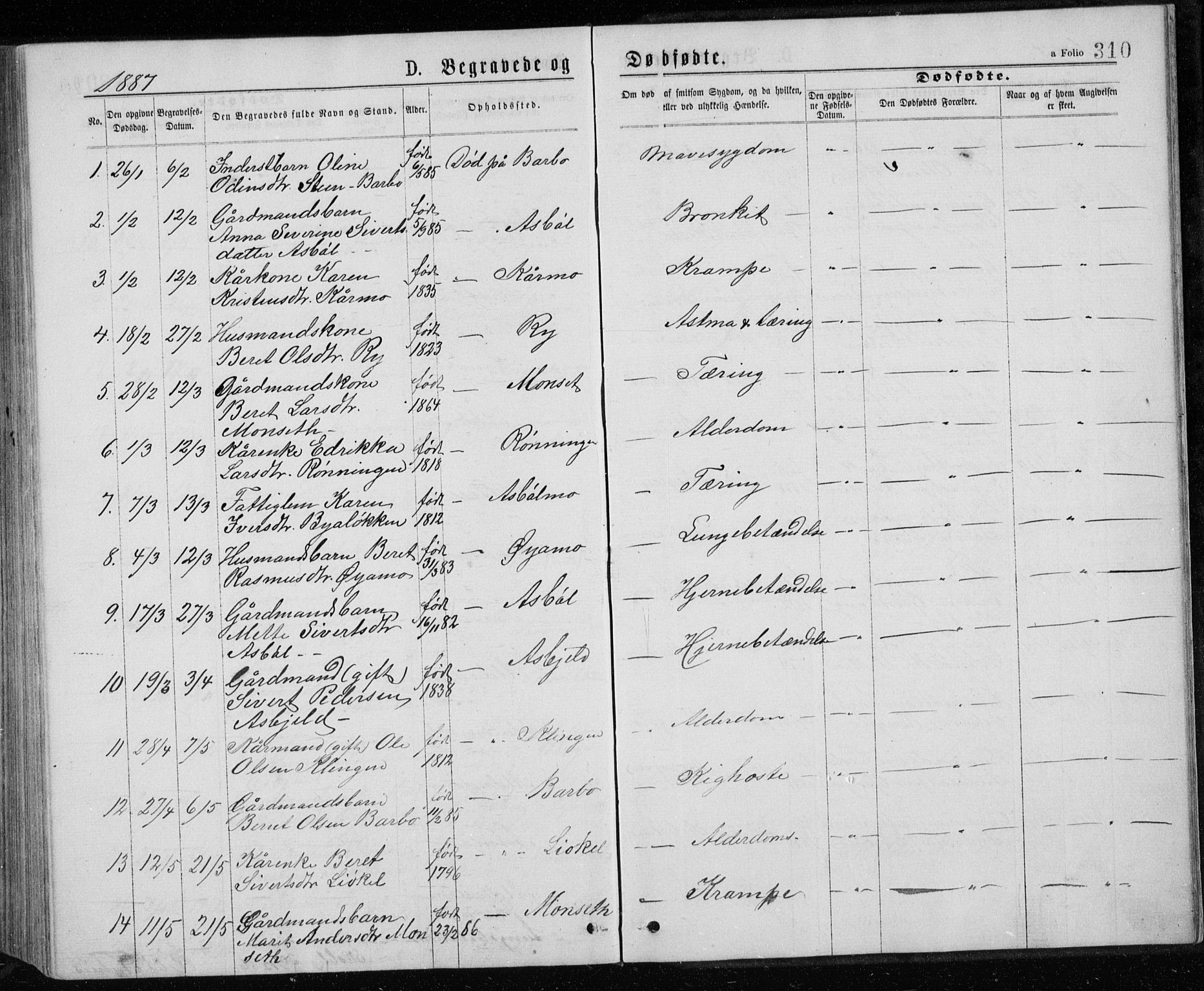 Ministerialprotokoller, klokkerbøker og fødselsregistre - Sør-Trøndelag, SAT/A-1456/671/L0843: Parish register (copy) no. 671C02, 1873-1892, p. 310
