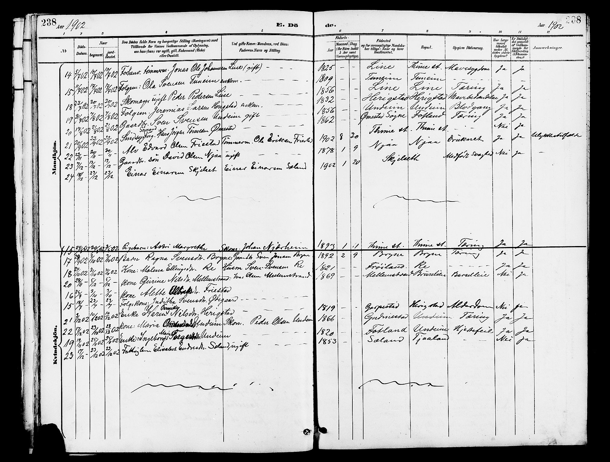 Lye sokneprestkontor, AV/SAST-A-101794/001/30BB/L0007: Parish register (copy) no. B 8, 1889-1909, p. 238