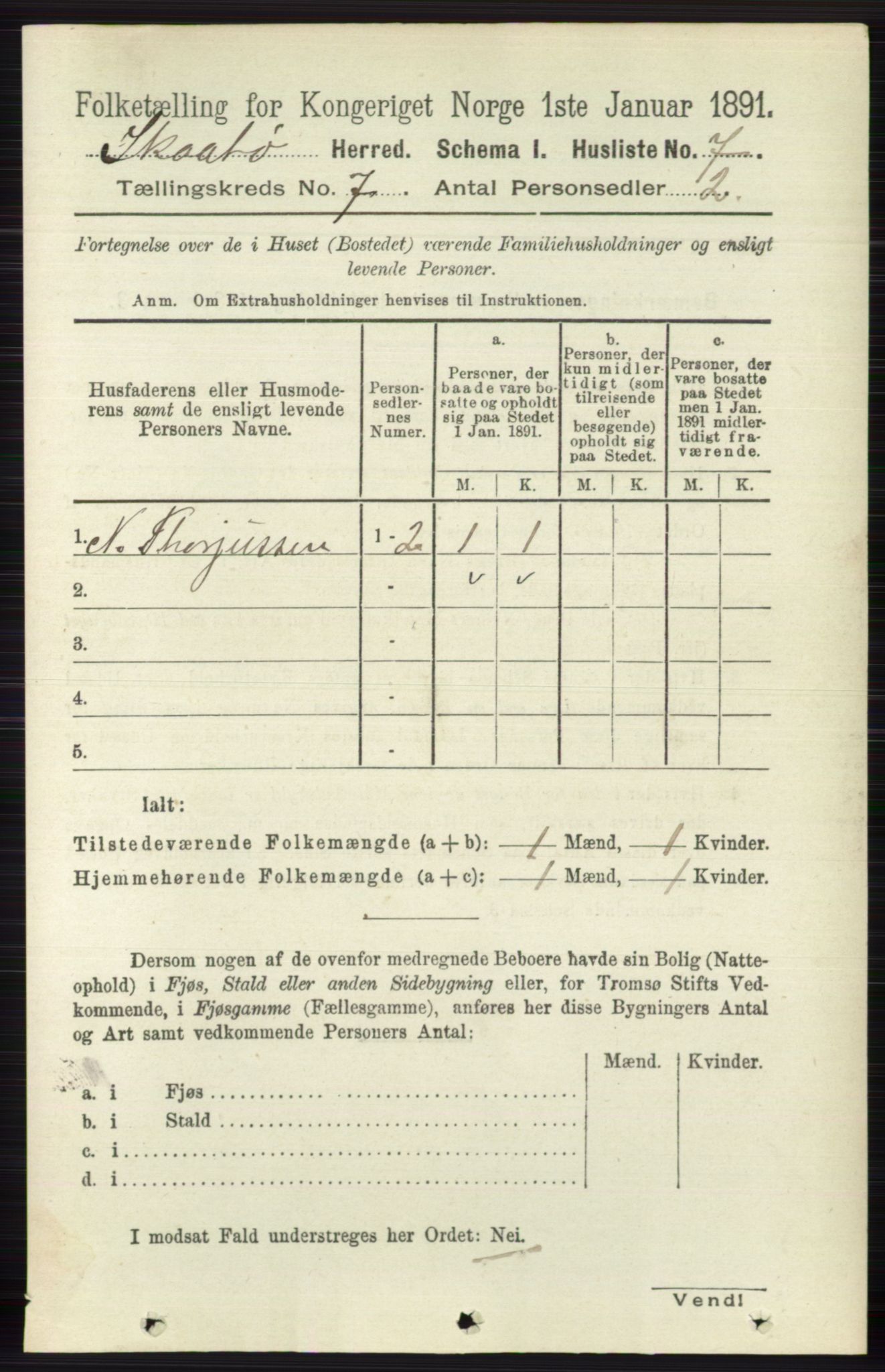 RA, 1891 census for 0815 Skåtøy, 1891, p. 3004