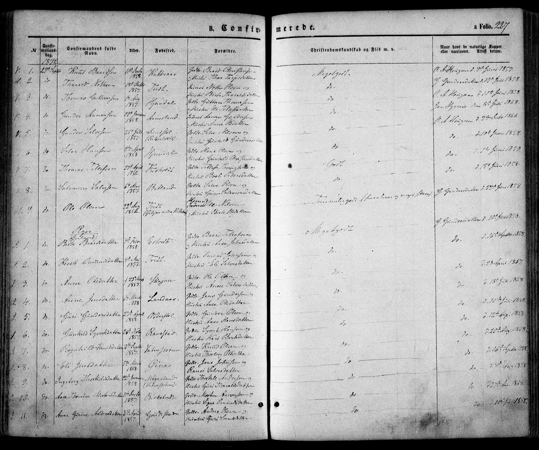 Evje sokneprestkontor, AV/SAK-1111-0008/F/Fa/Faa/L0006: Parish register (official) no. A 6, 1866-1884, p. 227