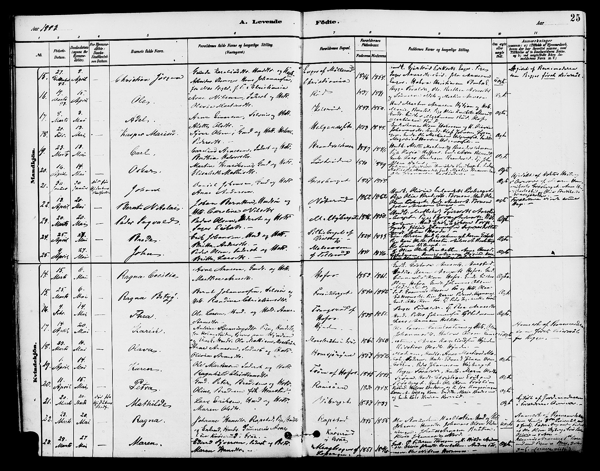 Brandval prestekontor, SAH/PREST-034/H/Ha/Haa/L0002: Parish register (official) no. 2, 1880-1894, p. 25