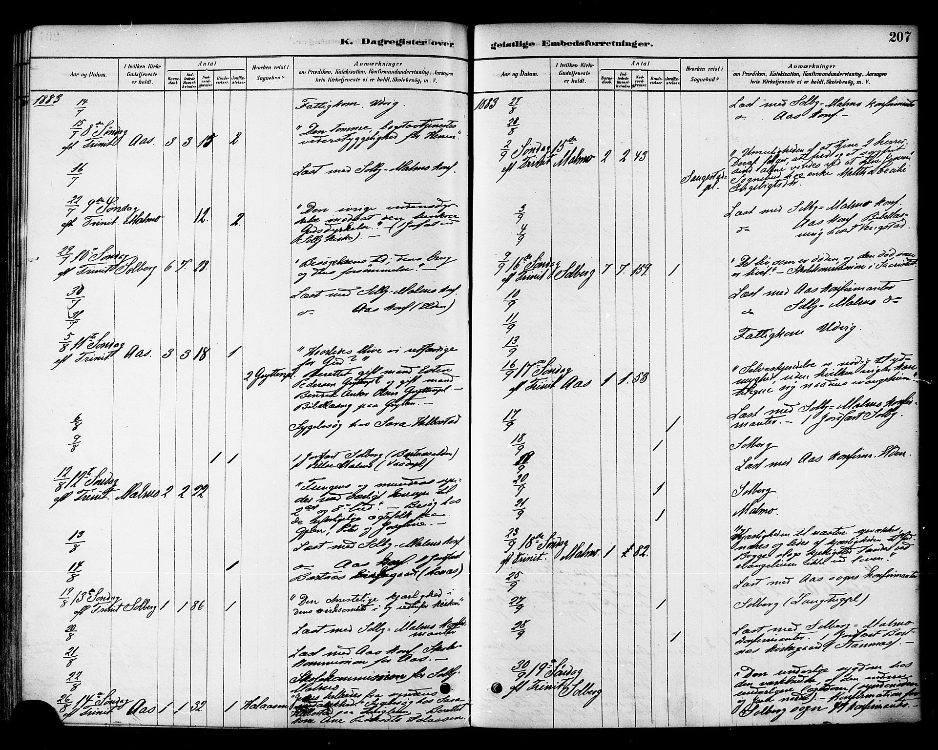 Ministerialprotokoller, klokkerbøker og fødselsregistre - Nord-Trøndelag, AV/SAT-A-1458/741/L0395: Parish register (official) no. 741A09, 1878-1888, p. 207