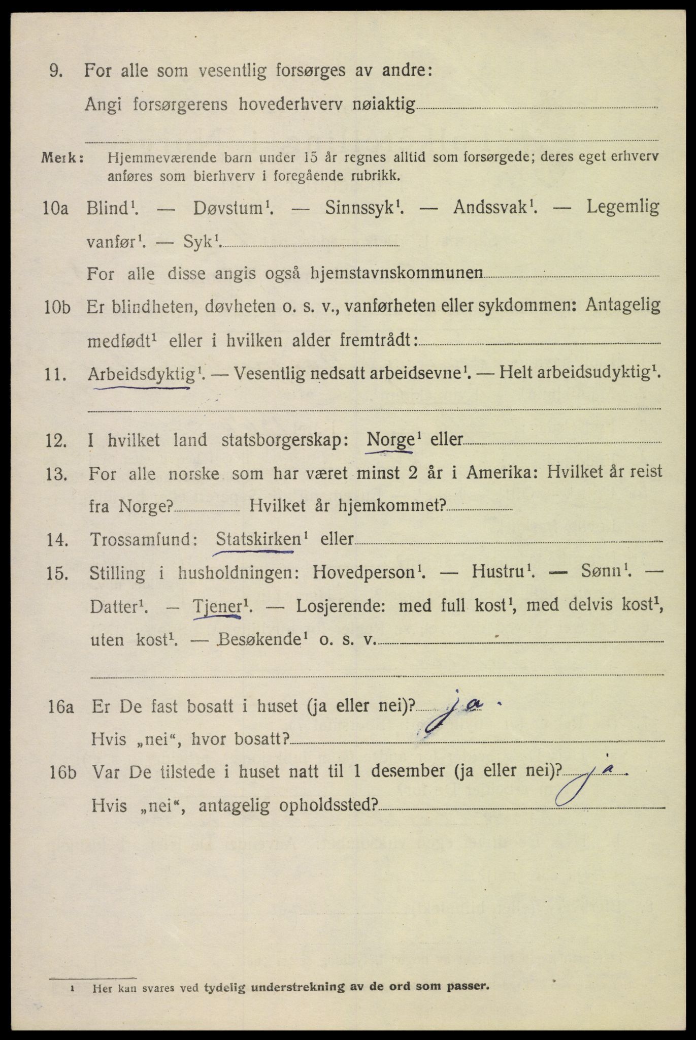 SAH, 1920 census for Skjåk, 1920, p. 4265