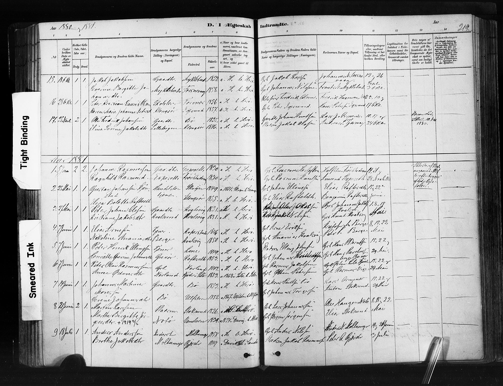 Ministerialprotokoller, klokkerbøker og fødselsregistre - Møre og Romsdal, SAT/A-1454/507/L0073: Parish register (official) no. 507A08, 1878-1904, p. 219