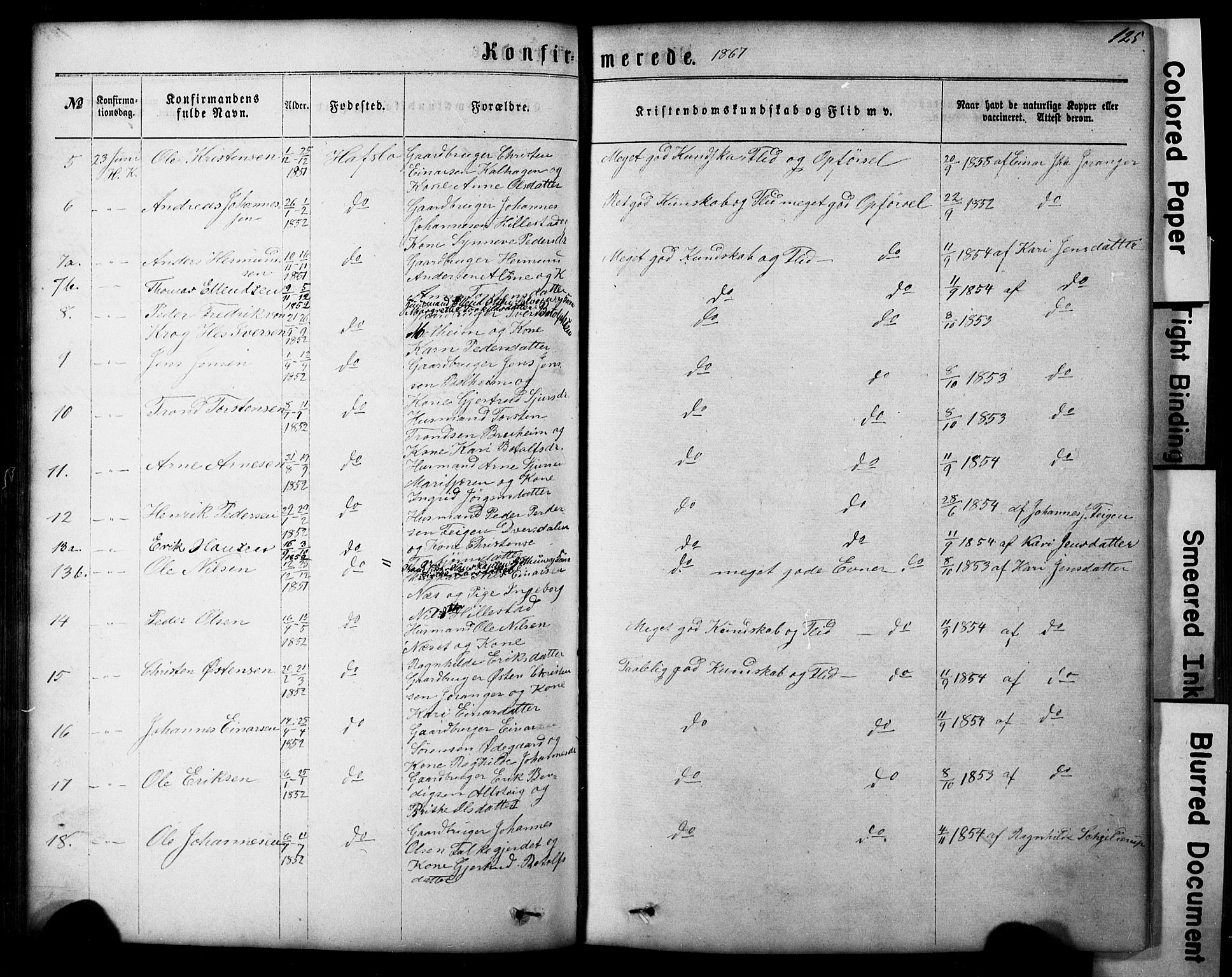 Hafslo sokneprestembete, AV/SAB-A-80301/H/Hab/Haba/L0001: Parish register (copy) no. A 1, 1866-1908, p. 125