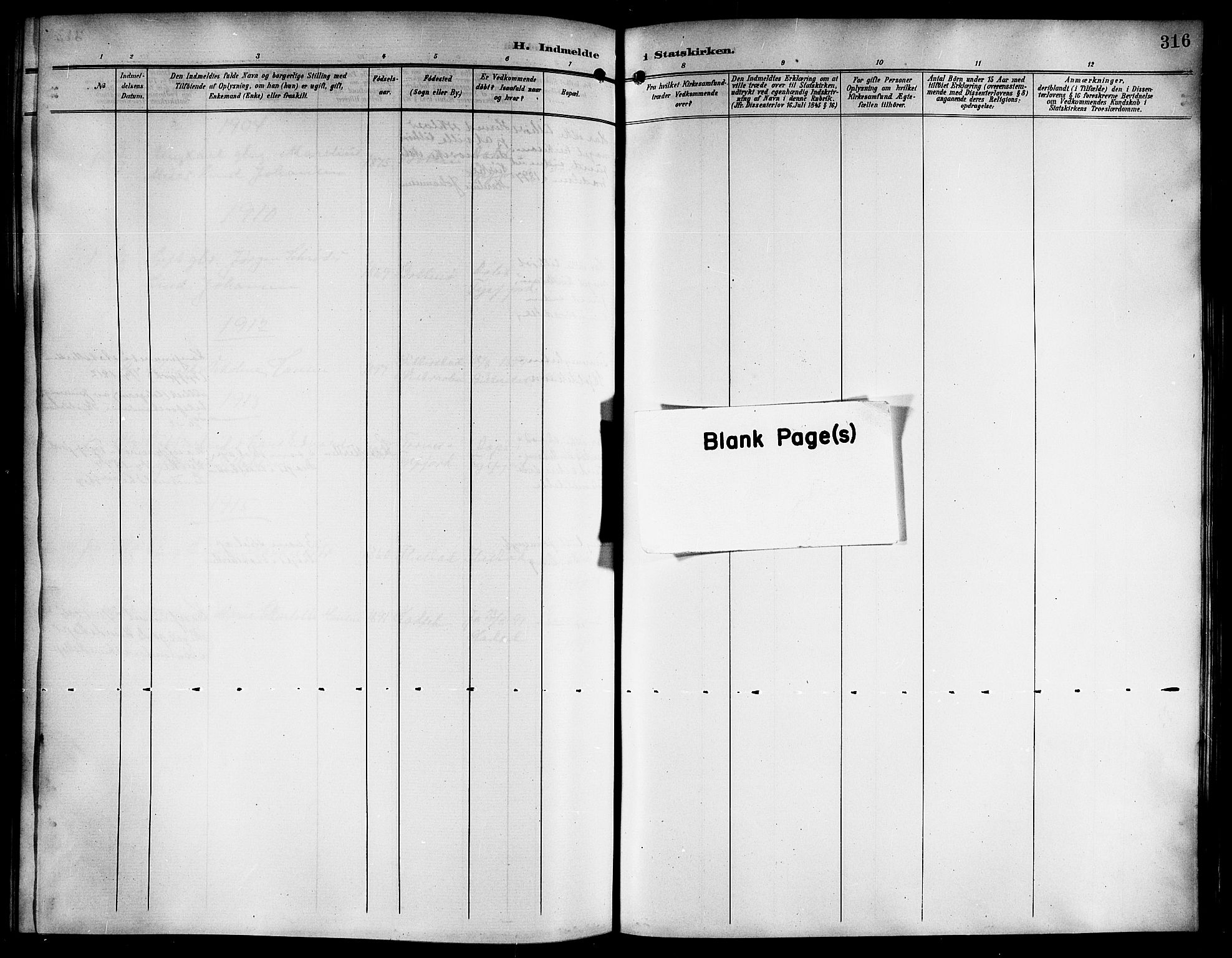 Ministerialprotokoller, klokkerbøker og fødselsregistre - Nordland, AV/SAT-A-1459/861/L0877: Parish register (copy) no. 861C03, 1903-1919, p. 316