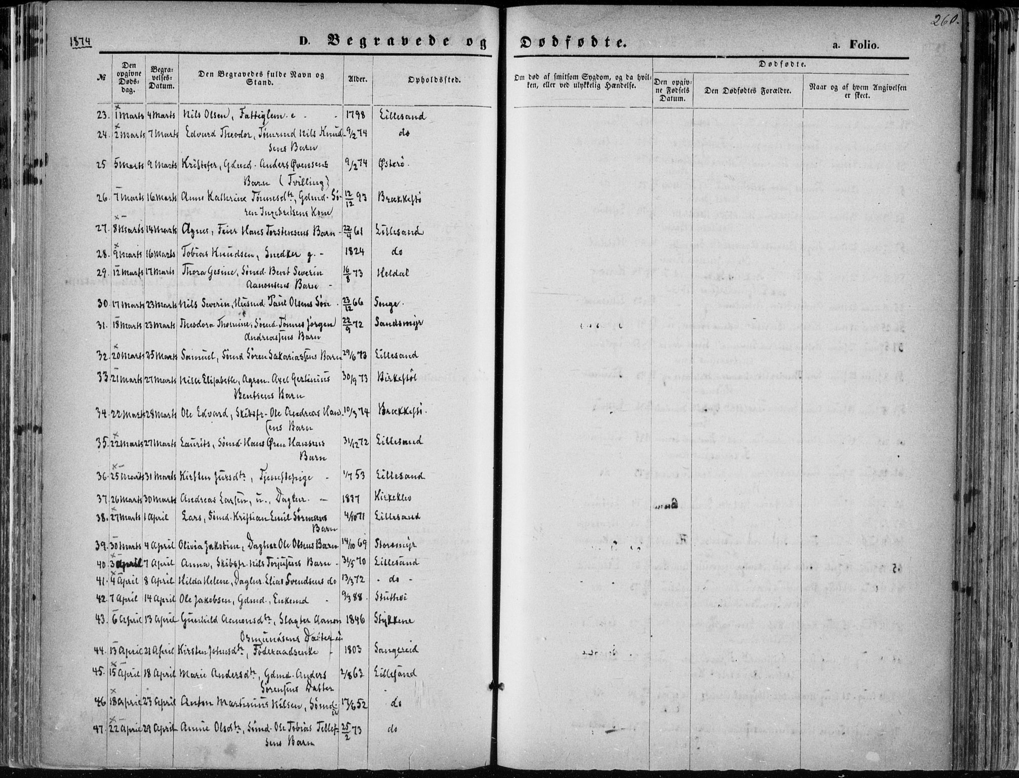 Vestre Moland sokneprestkontor, AV/SAK-1111-0046/F/Fa/Fab/L0008: Parish register (official) no. A 8, 1873-1883, p. 260