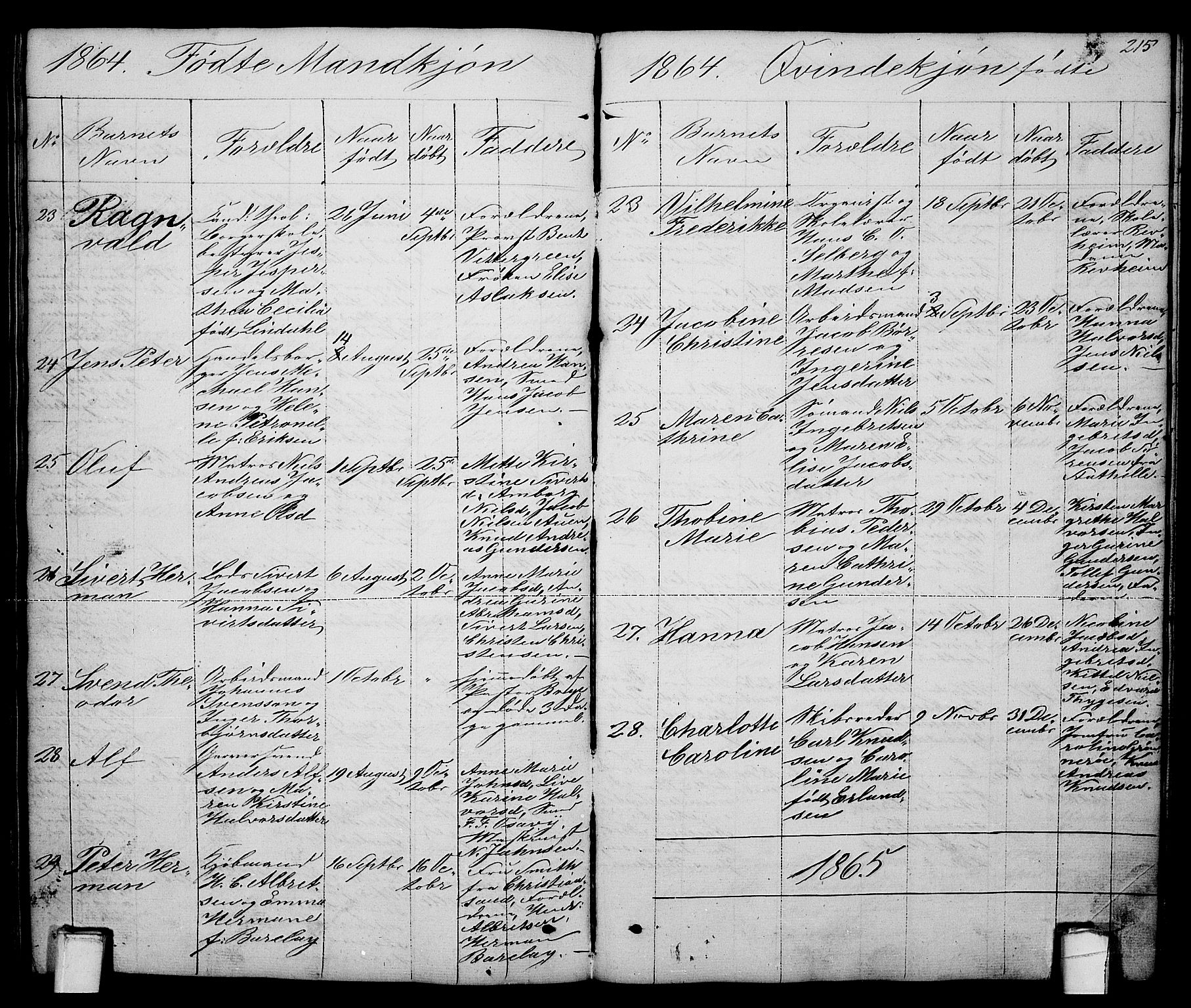 Brevik kirkebøker, SAKO/A-255/G/Ga/L0002: Parish register (copy) no. 2, 1846-1865, p. 215