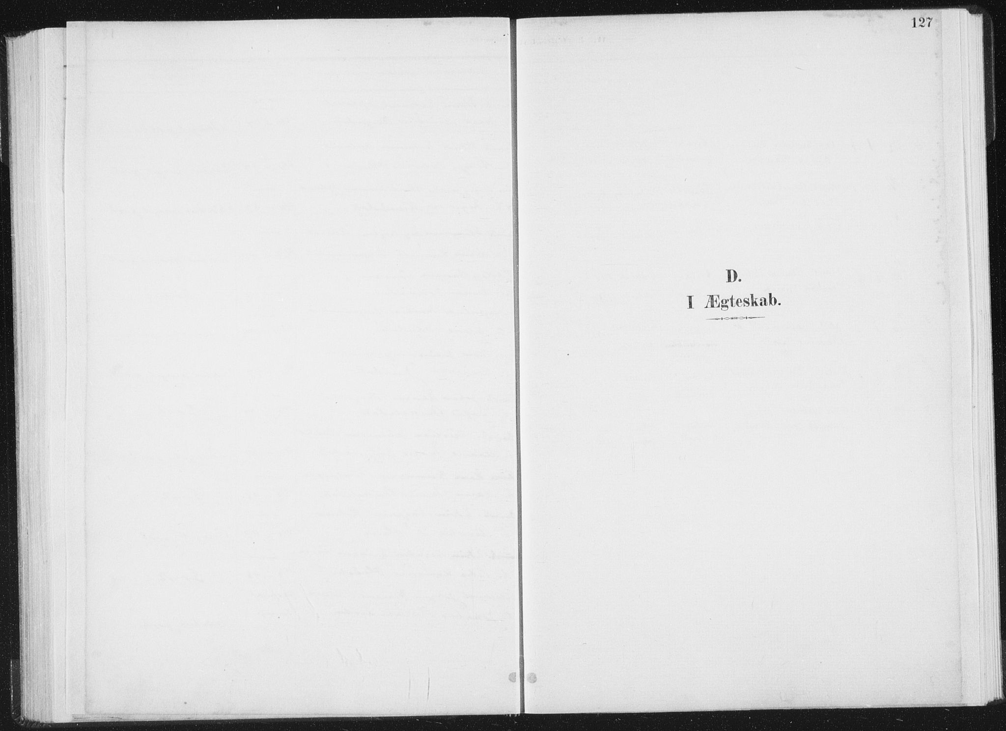 Ministerialprotokoller, klokkerbøker og fødselsregistre - Nord-Trøndelag, SAT/A-1458/771/L0597: Parish register (official) no. 771A04, 1885-1910, p. 127