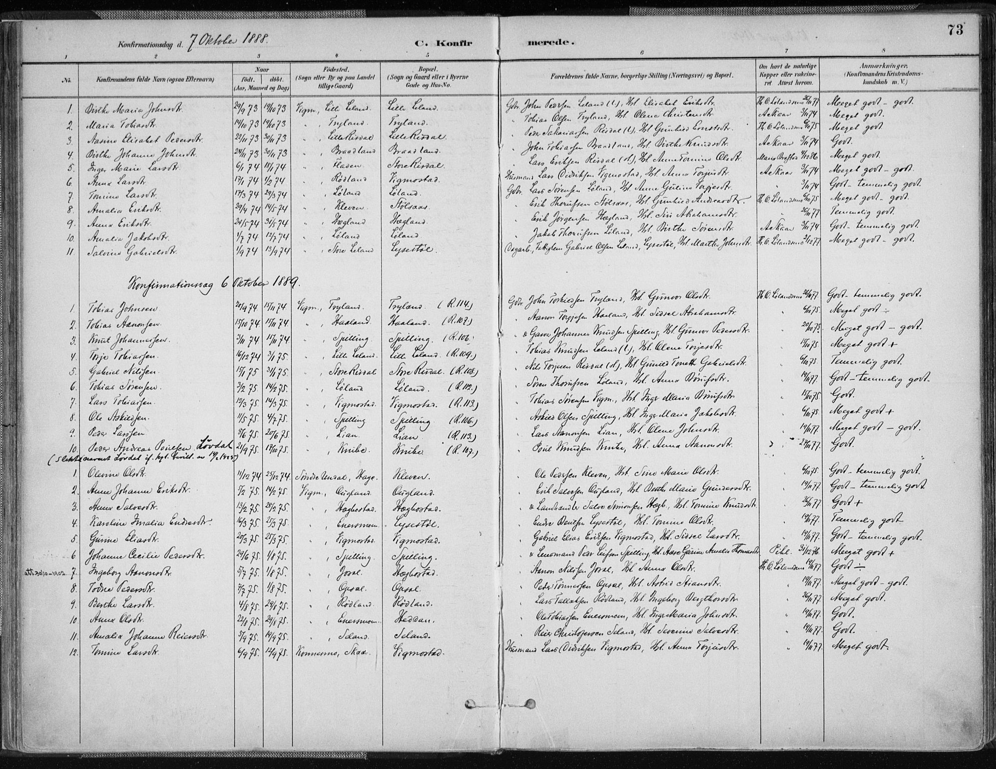 Nord-Audnedal sokneprestkontor, SAK/1111-0032/F/Fa/Fab/L0003: Parish register (official) no. A 3, 1882-1900, p. 73