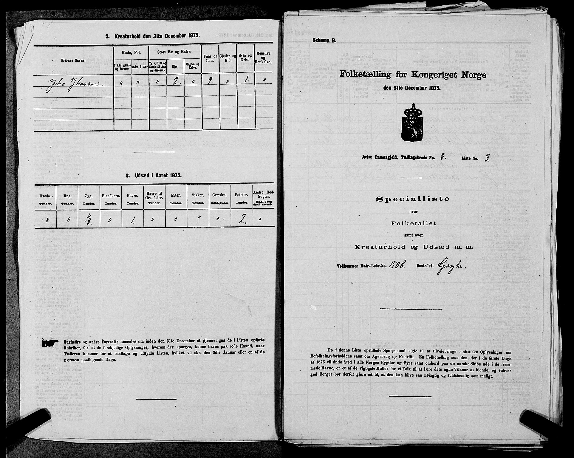 SAST, 1875 census for 1138P Jelsa, 1875, p. 673