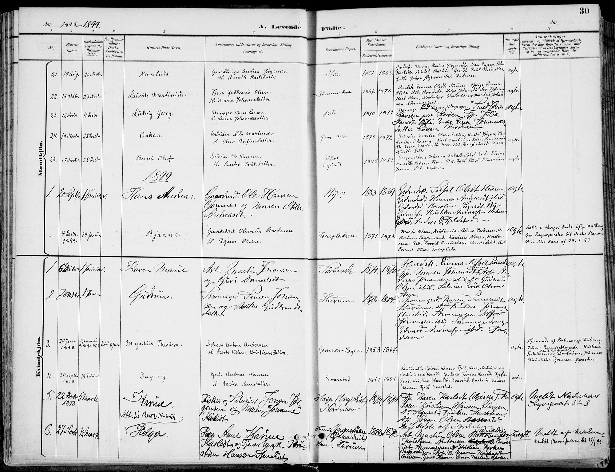 Hole kirkebøker, SAKO/A-228/F/Fa/L0009: Parish register (official) no. I 9, 1892-1907, p. 30