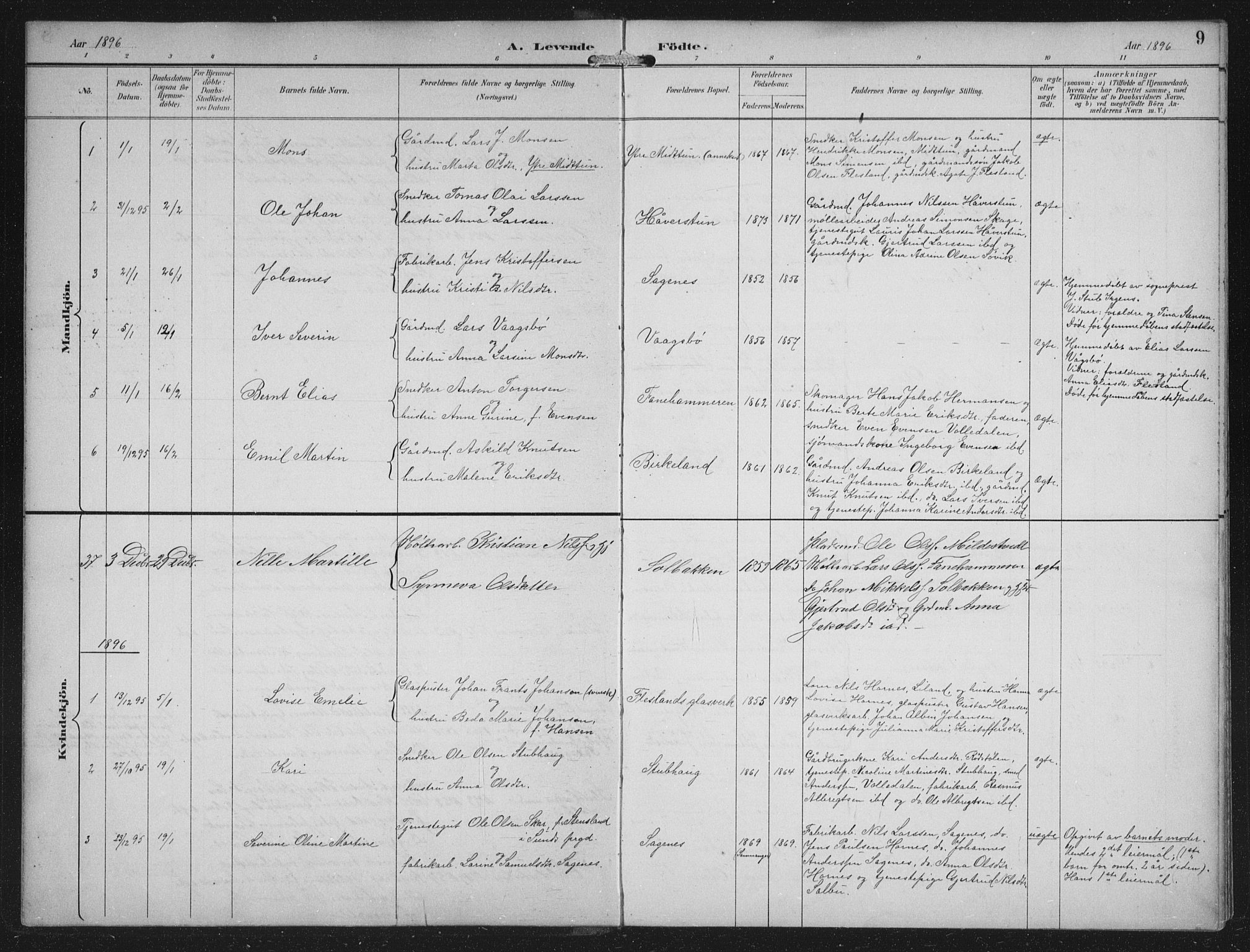 Fana Sokneprestembete, SAB/A-75101/H/Hab/Haba/L0003: Parish register (copy) no. A 3, 1895-1902, p. 9