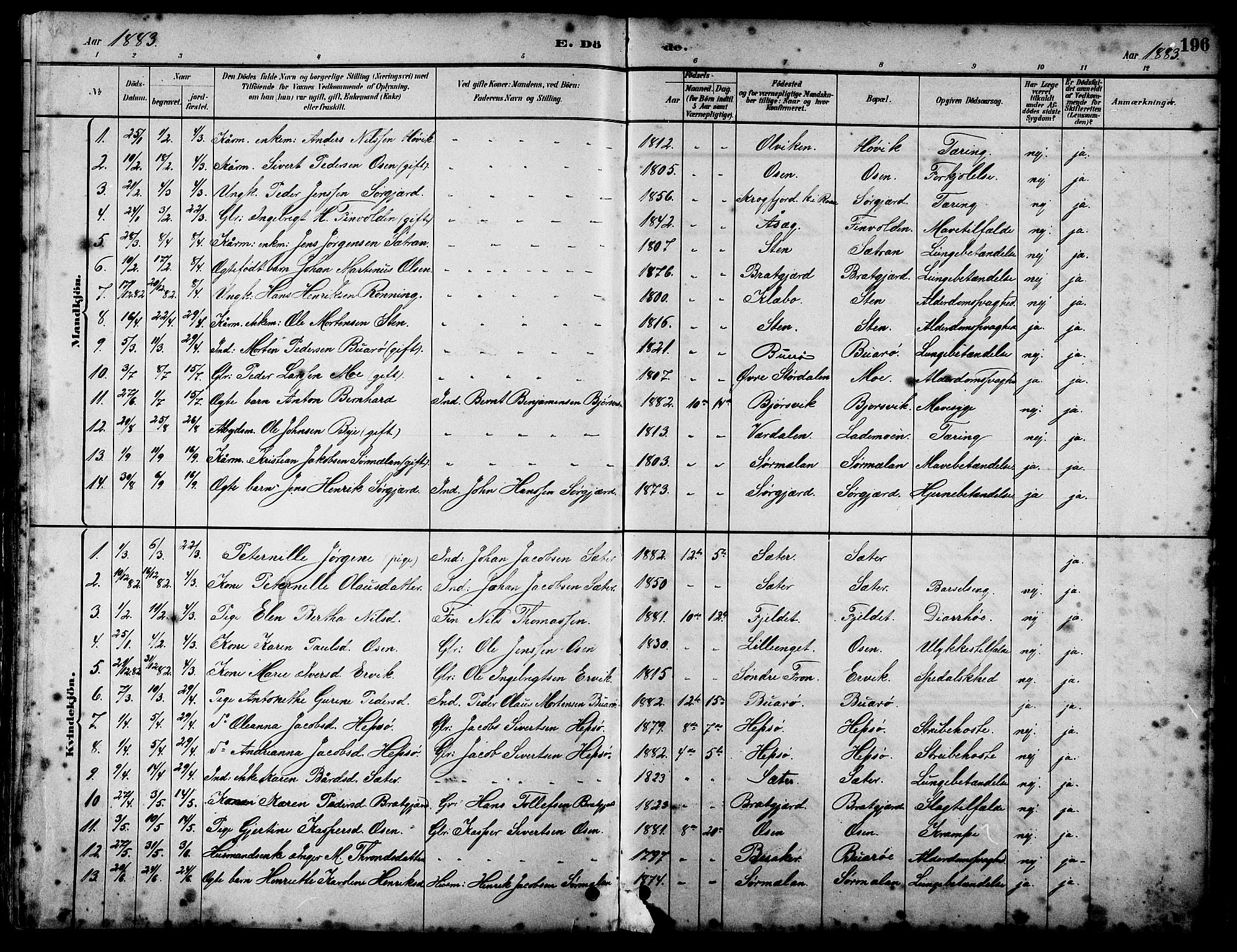 Ministerialprotokoller, klokkerbøker og fødselsregistre - Sør-Trøndelag, SAT/A-1456/658/L0726: Parish register (copy) no. 658C02, 1883-1908, p. 196