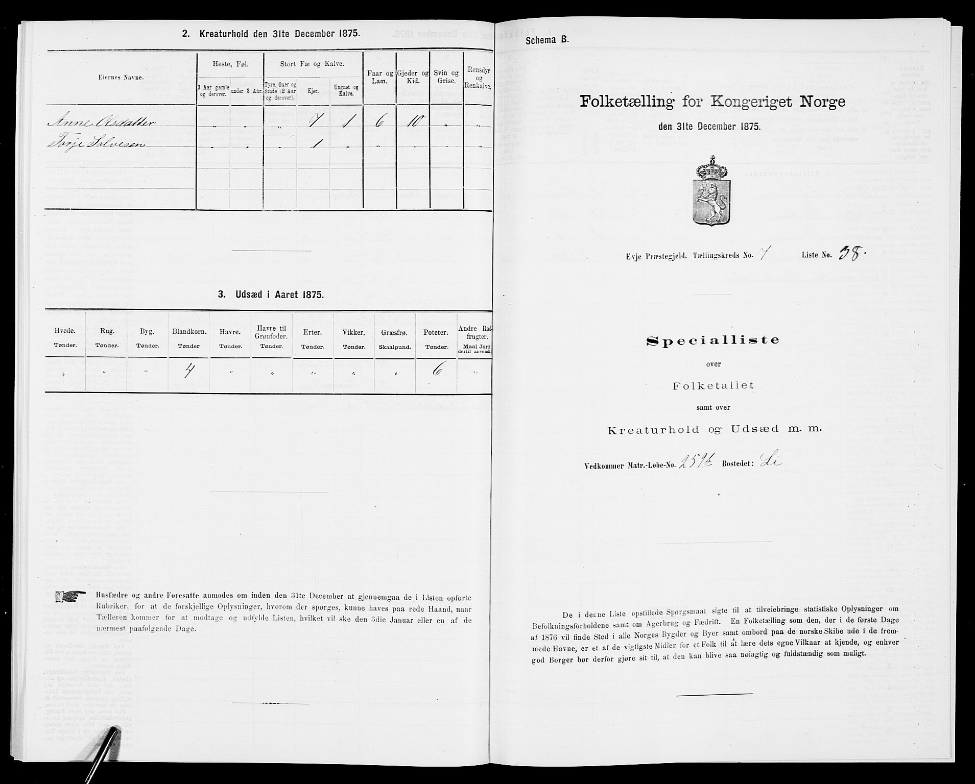 SAK, 1875 census for 0934P Evje, 1875, p. 661