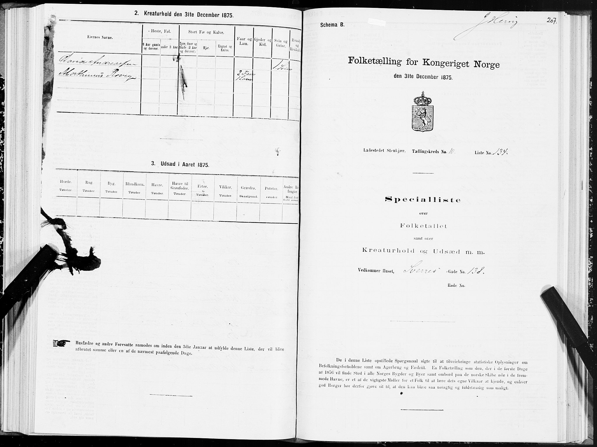 SAT, 1875 census for 1702B Steinkjer/Steinkjer, 1875, p. 207