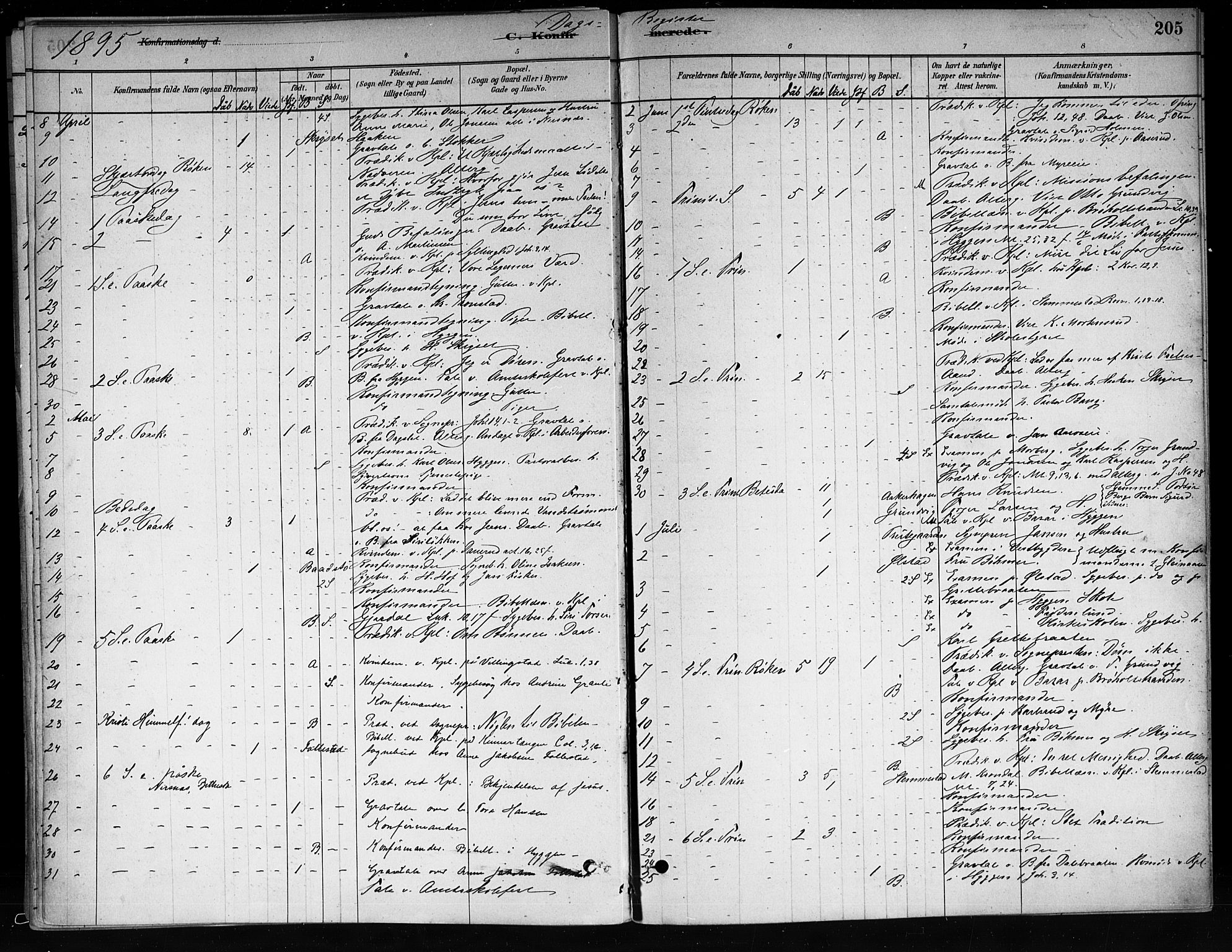 Røyken kirkebøker, AV/SAKO-A-241/F/Fa/L0008: Parish register (official) no. 8, 1880-1897, p. 205