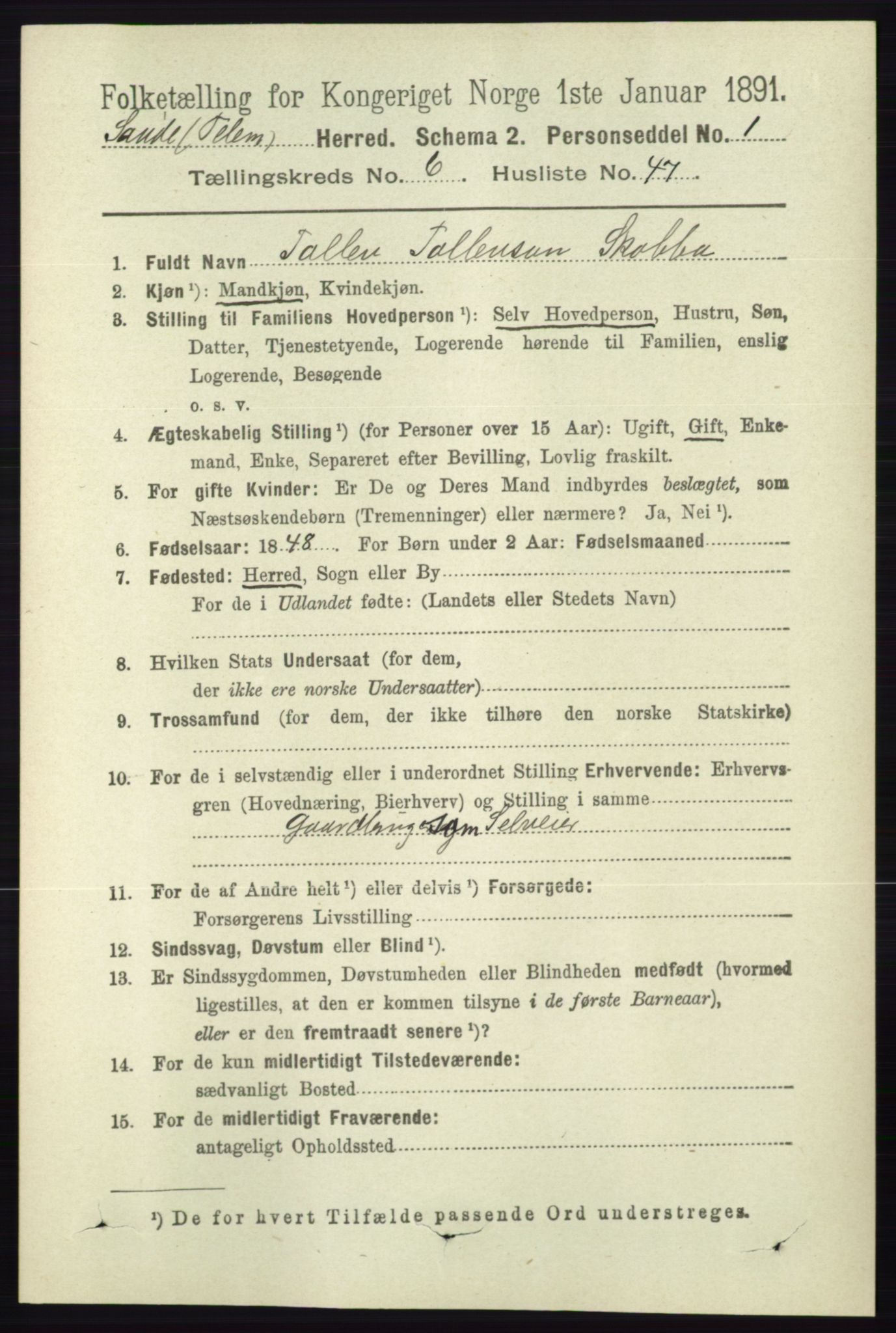 RA, 1891 census for 0822 Sauherad, 1891, p. 1954