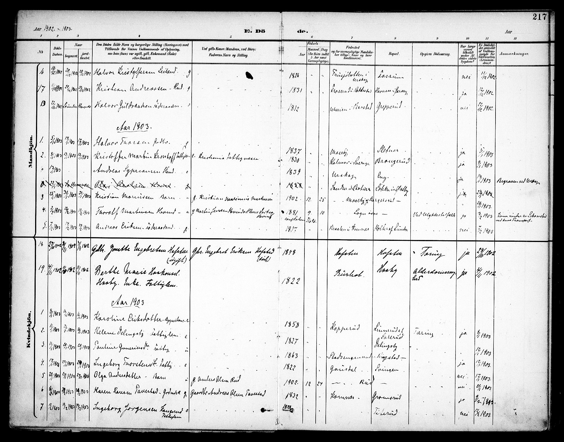 Høland prestekontor Kirkebøker, SAO/A-10346a/F/Fa/L0015: Parish register (official) no. I 15, 1897-1912, p. 217