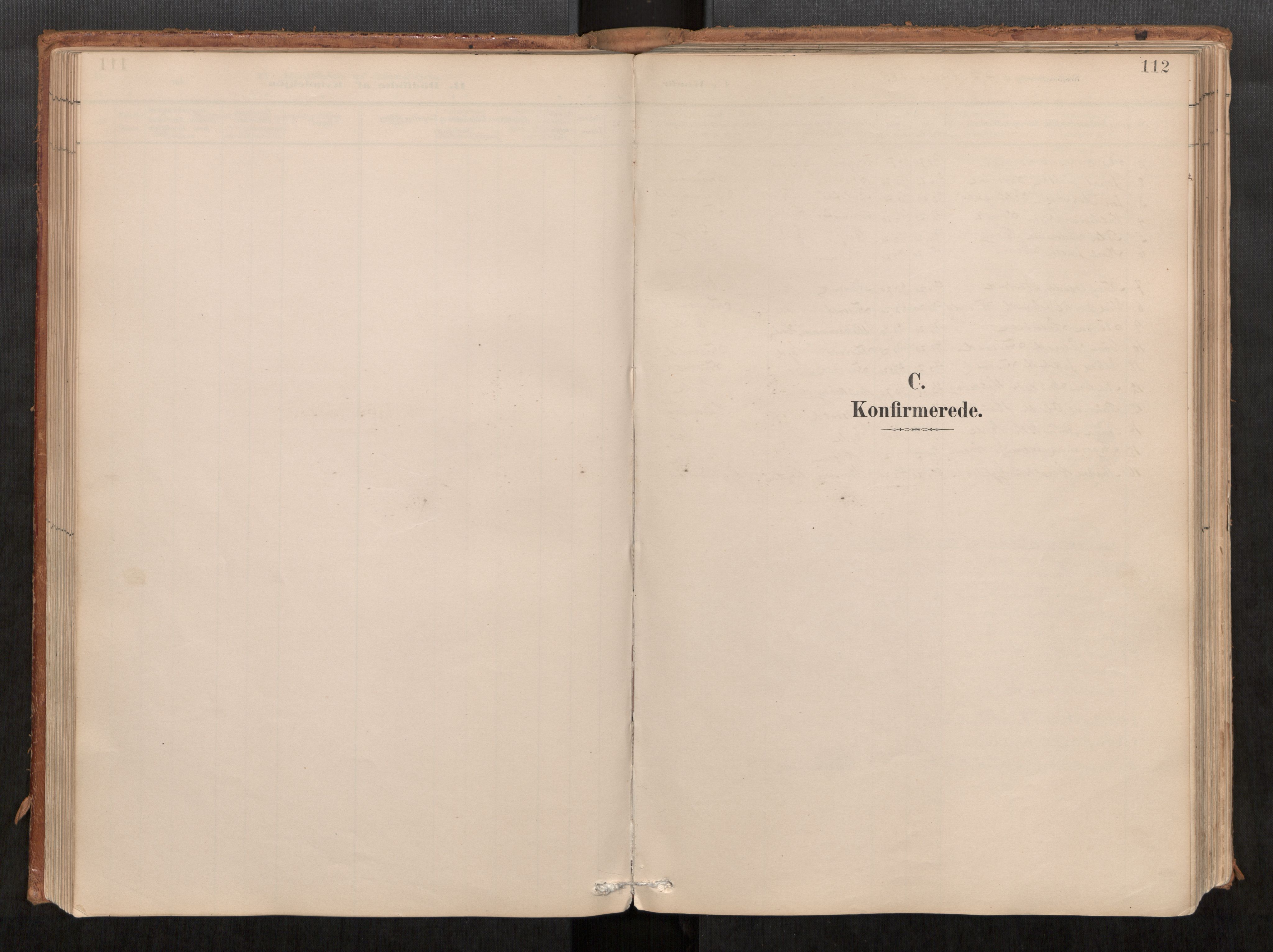 Ministerialprotokoller, klokkerbøker og fødselsregistre - Møre og Romsdal, SAT/A-1454/542/L0553: Parish register (official) no. 542A03, 1885-1925, p. 112