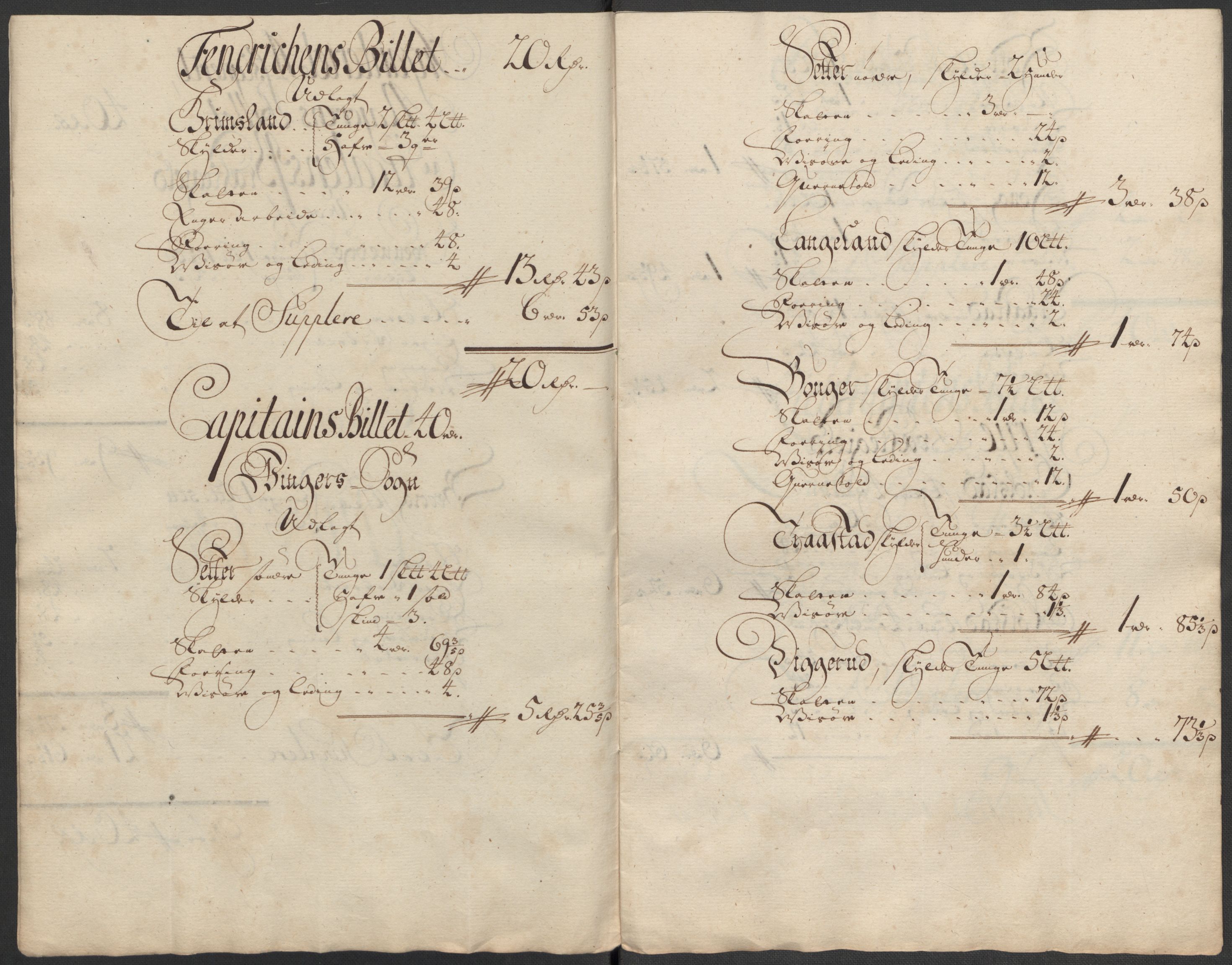 Rentekammeret inntil 1814, Reviderte regnskaper, Fogderegnskap, AV/RA-EA-4092/R13/L0856: Fogderegnskap Solør, Odal og Østerdal, 1717, p. 295