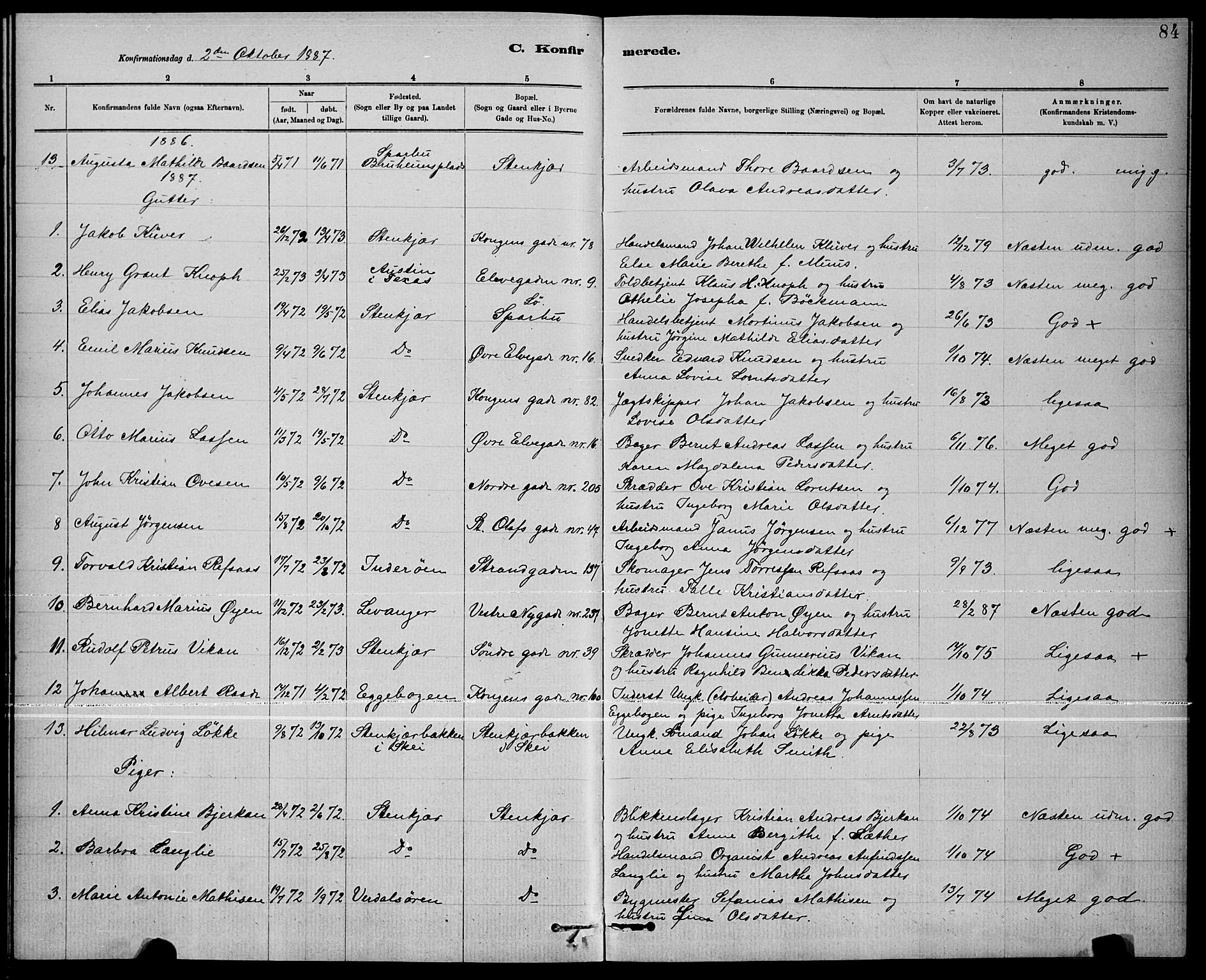Ministerialprotokoller, klokkerbøker og fødselsregistre - Nord-Trøndelag, SAT/A-1458/739/L0374: Parish register (copy) no. 739C02, 1883-1898, p. 84