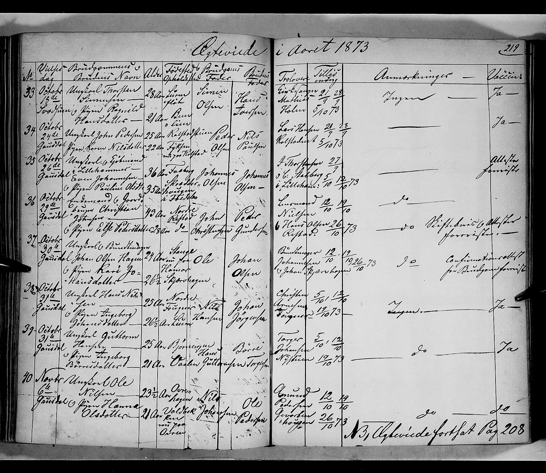 Gausdal prestekontor, SAH/PREST-090/H/Ha/Haa/L0009: Parish register (official) no. 9, 1862-1873, p. 219