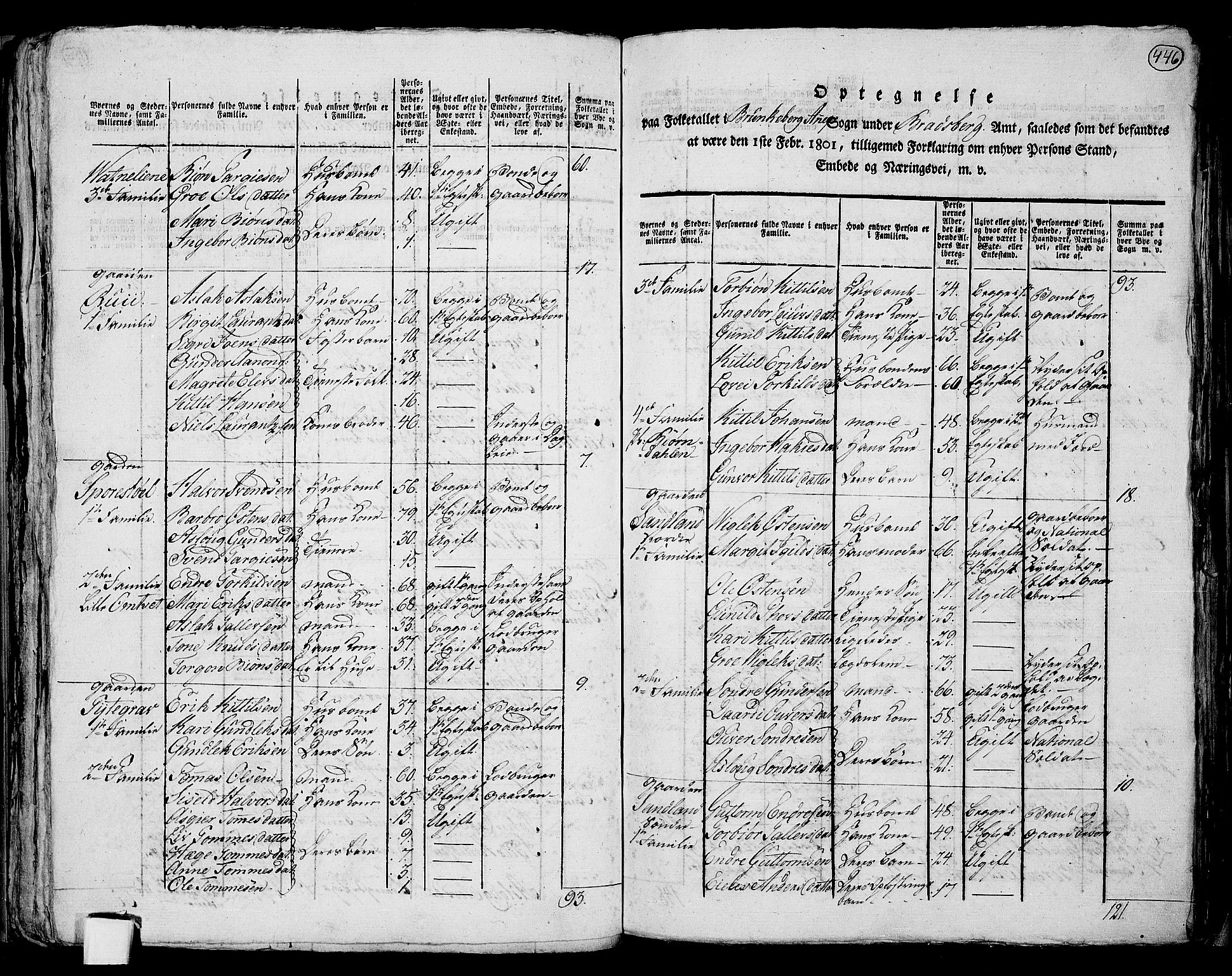 RA, 1801 census for 0829P Kviteseid, 1801, p. 445b-446a