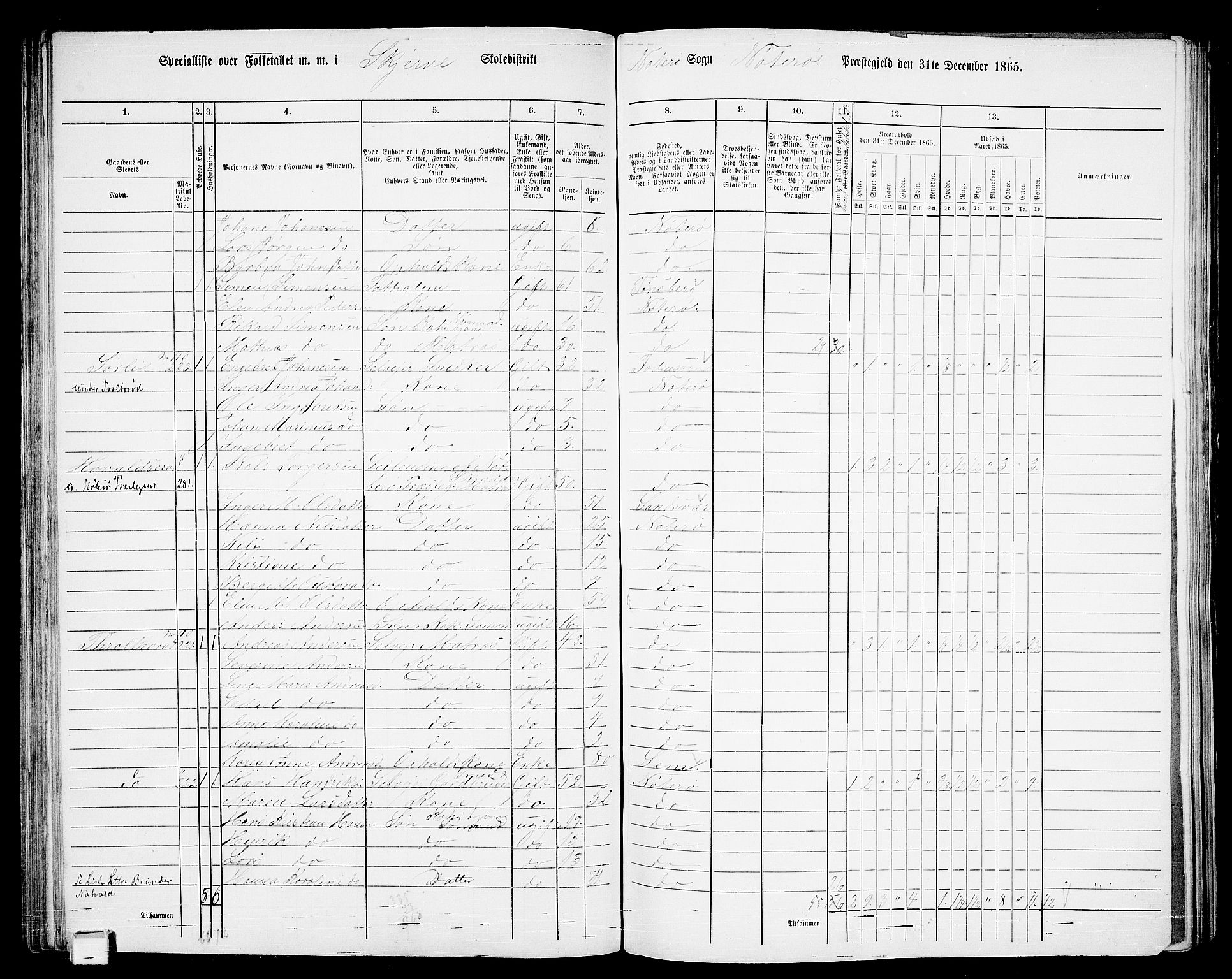 RA, 1865 census for Nøtterøy, 1865, p. 136