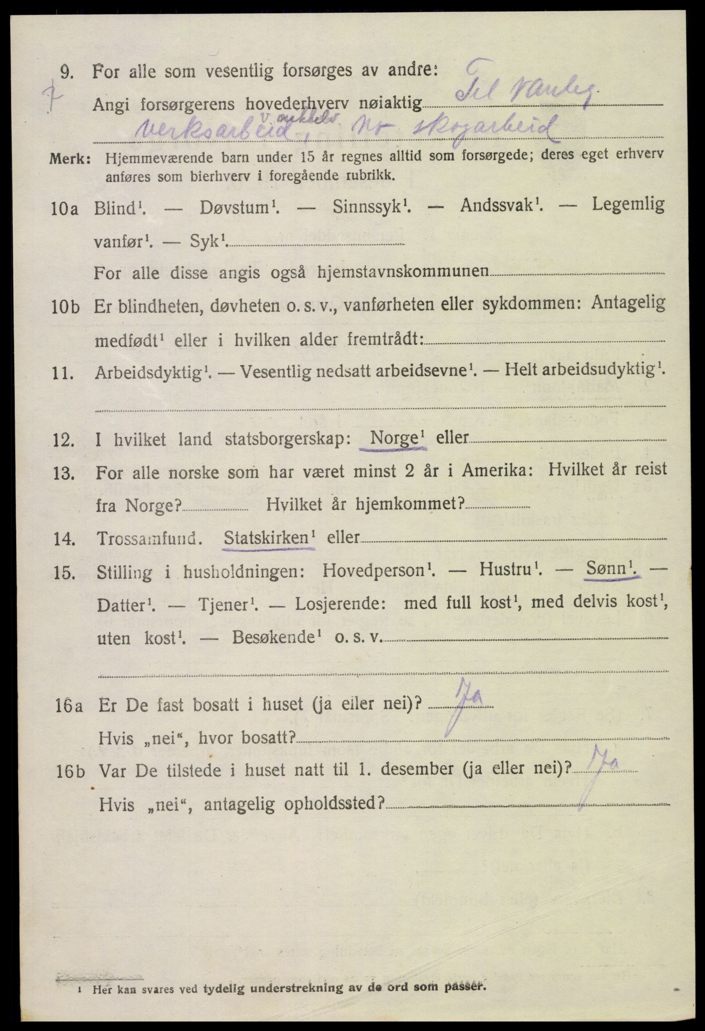 SAK, 1920 census for Hornnes, 1920, p. 956