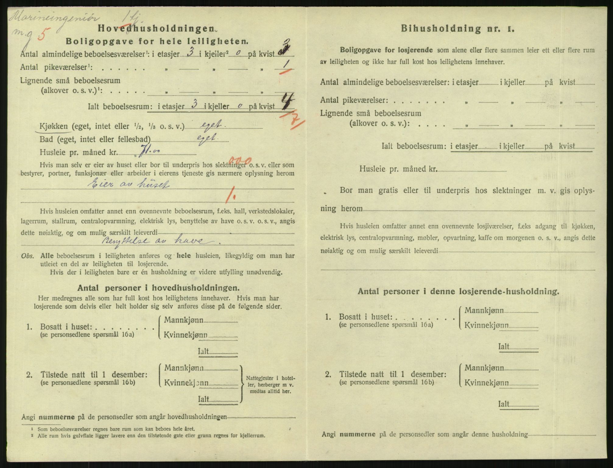 SAKO, 1920 census for Horten, 1920, p. 4160