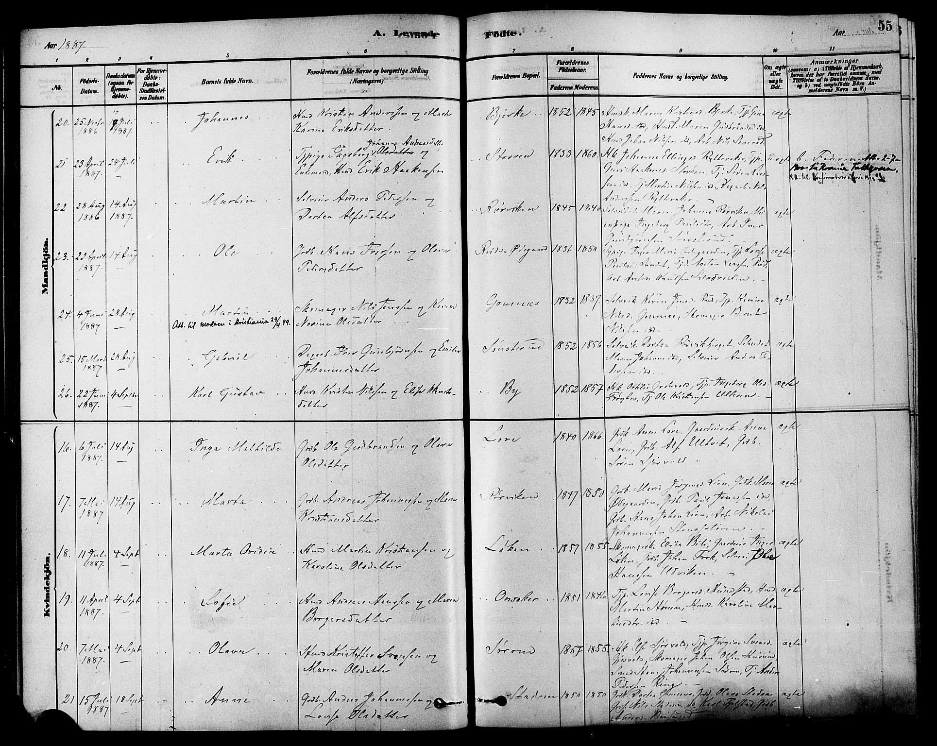 Hole kirkebøker, SAKO/A-228/F/Fa/L0008: Parish register (official) no. I 8, 1878-1891, p. 55