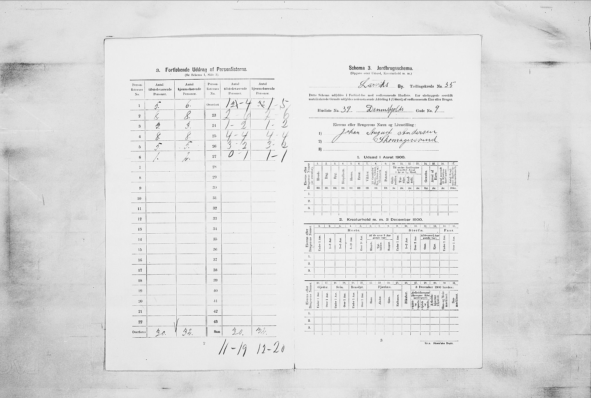 RA, 1900 census for Larvik, 1900, p. 4441