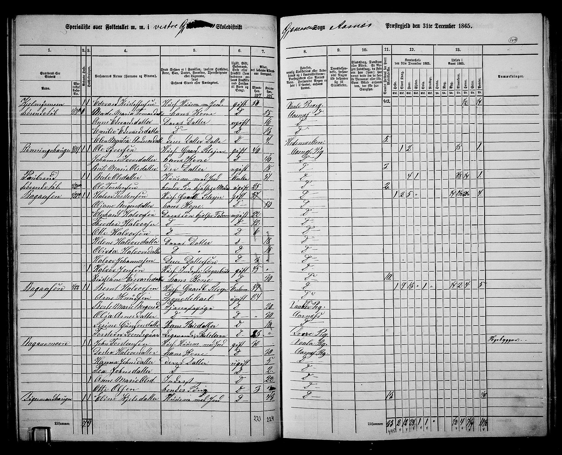 RA, 1865 census for Åsnes, 1865, p. 98