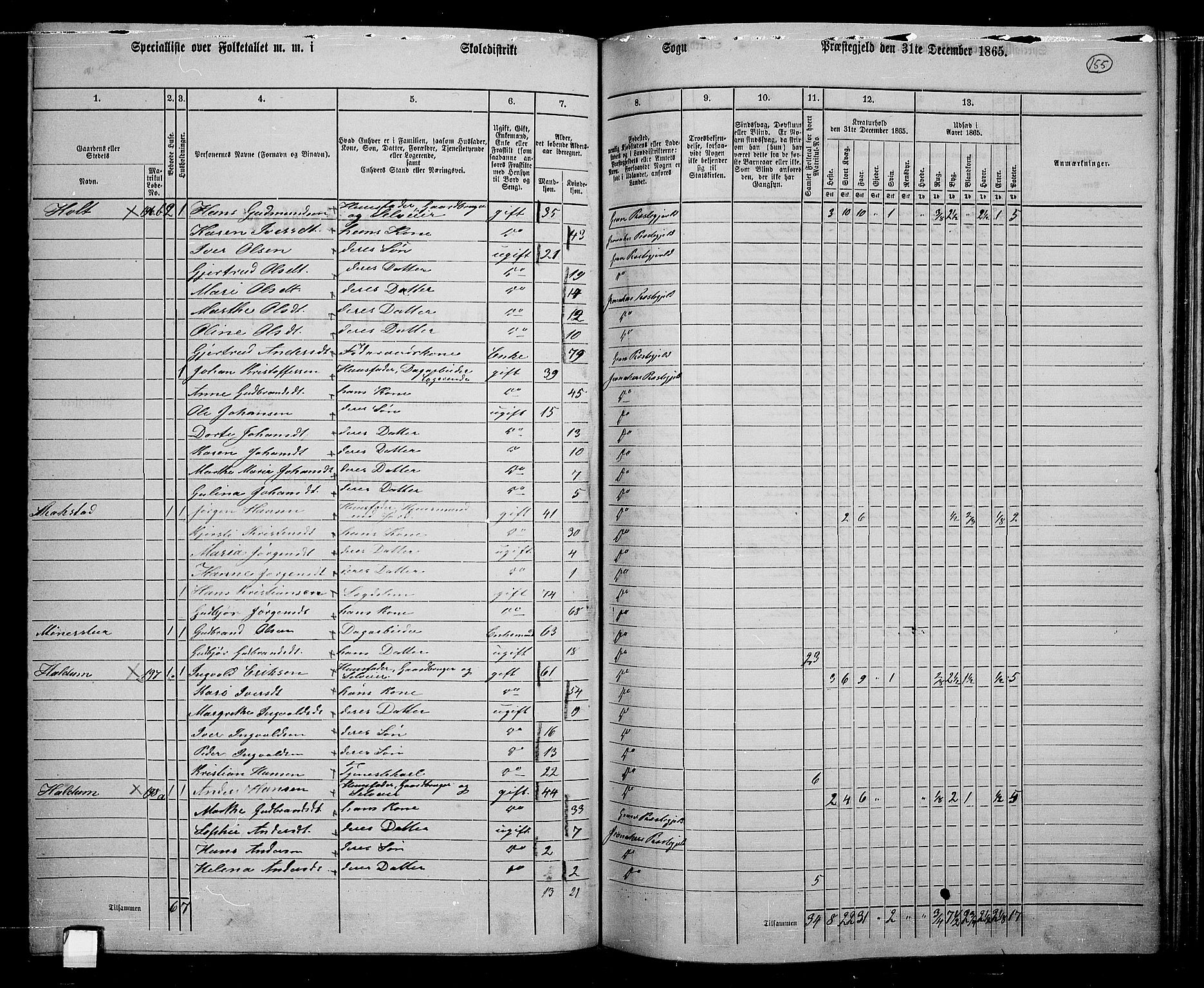 RA, 1865 census for Jevnaker, 1865, p. 144
