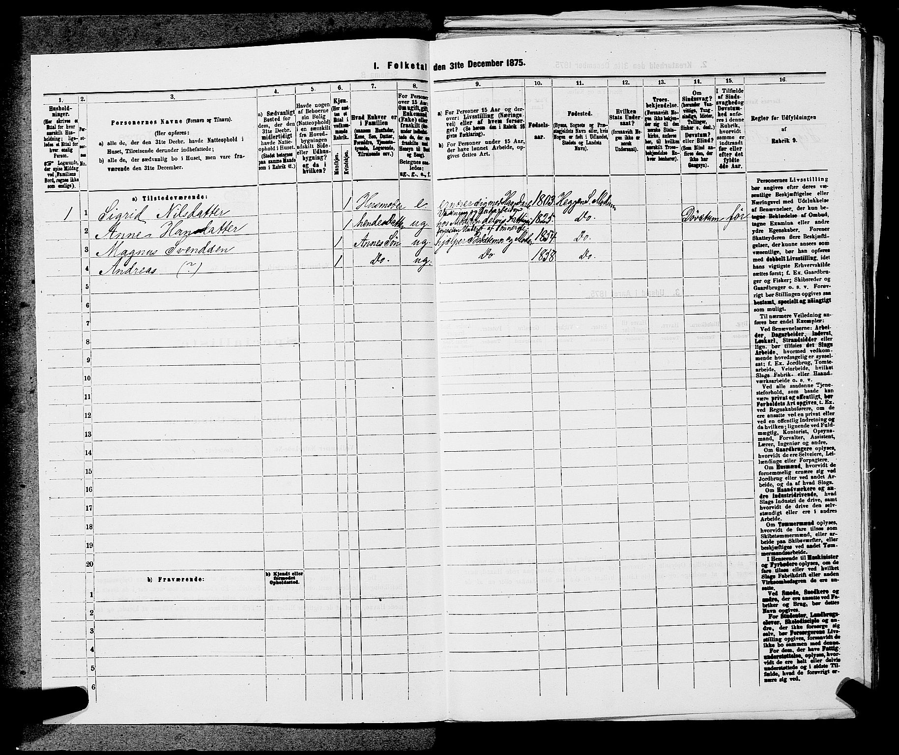 SAKO, 1875 census for 0623P Modum, 1875, p. 315