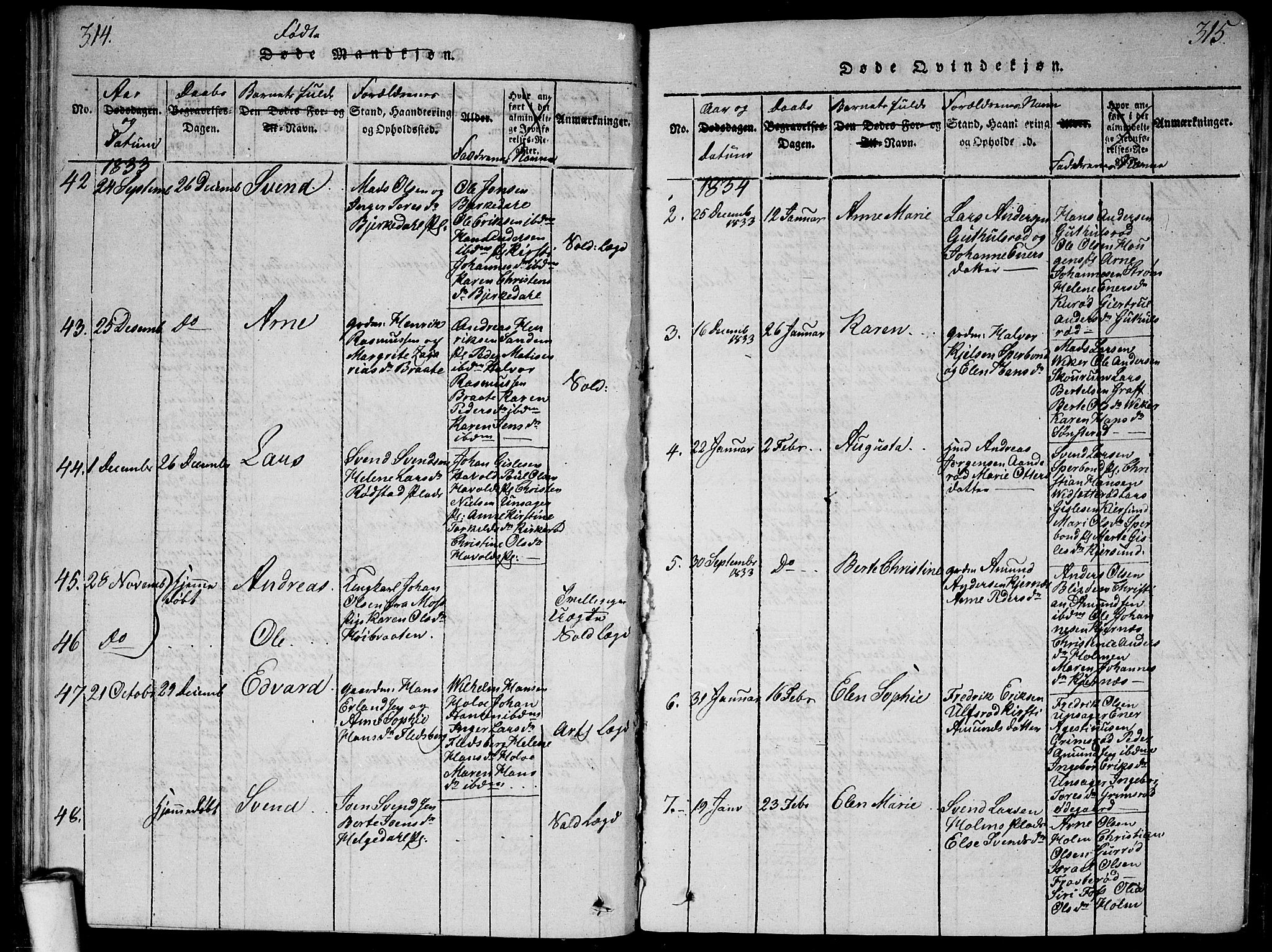 Våler prestekontor Kirkebøker, SAO/A-11083/G/Ga/L0001: Parish register (copy) no. I 1, 1815-1839, p. 314-315