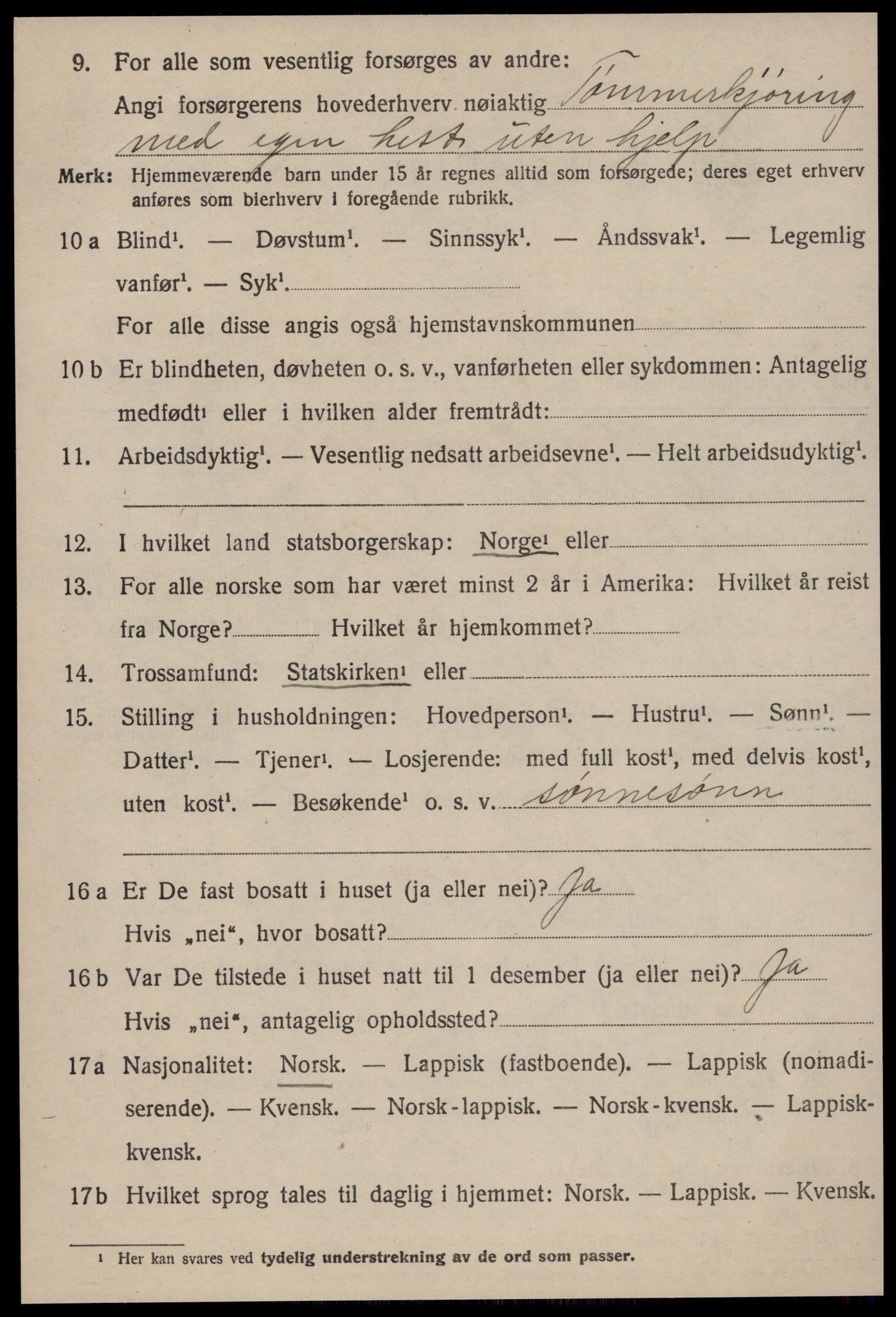 SAT, 1920 census for Røros, 1920, p. 9385