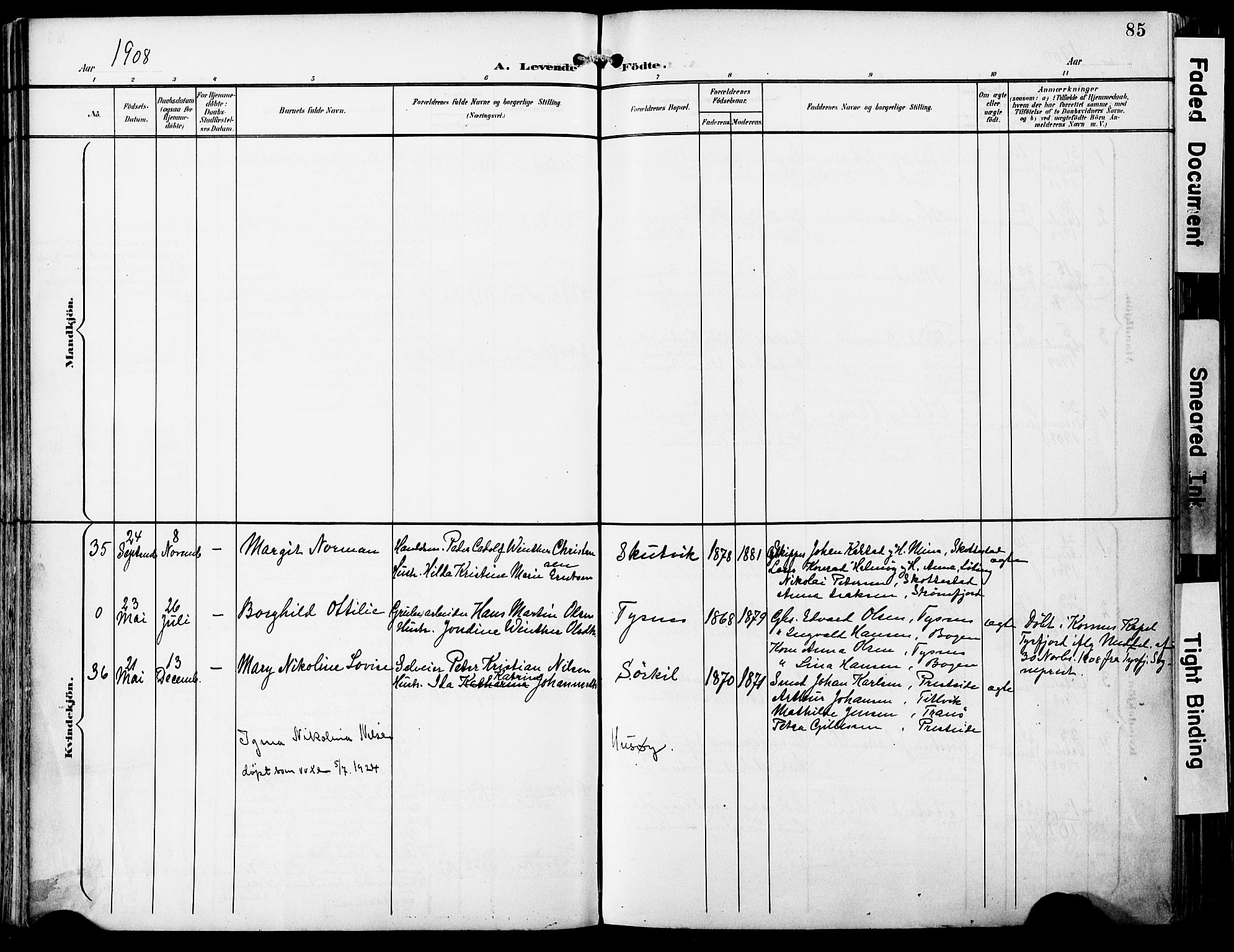 Ministerialprotokoller, klokkerbøker og fødselsregistre - Nordland, AV/SAT-A-1459/859/L0848: Parish register (official) no. 859A08, 1900-1912, p. 85